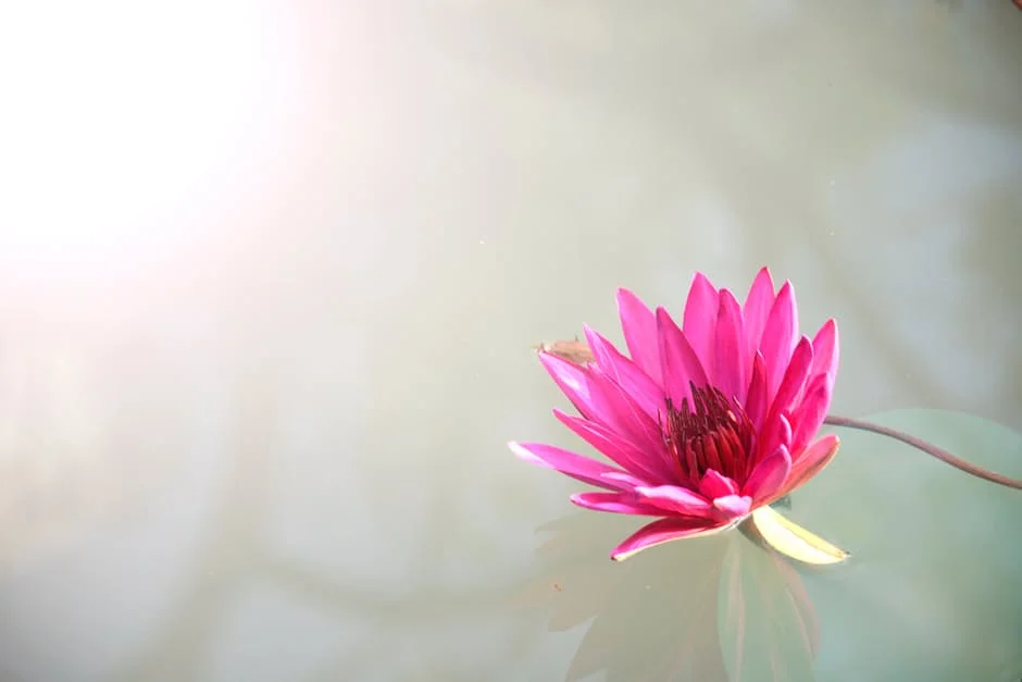 Change your resolution to a sankalpa