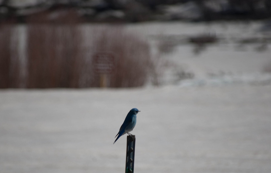 Photo Credit: CC image via Ben Mason on Flickr . 