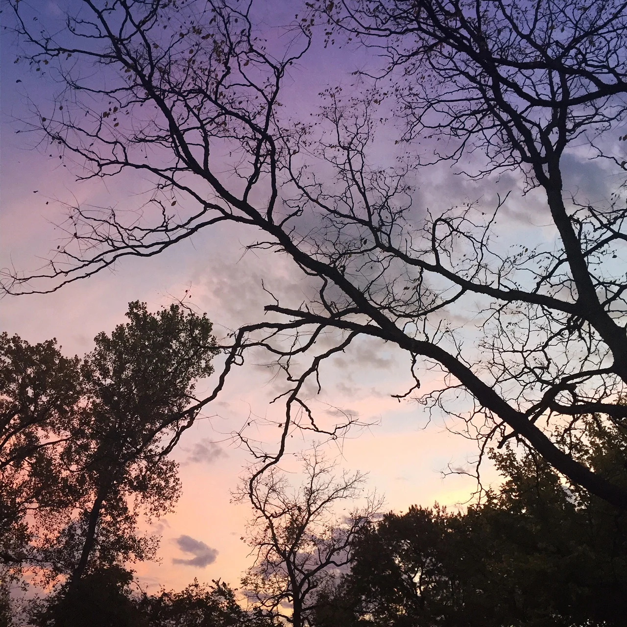 The thing that's actually keeping your dreams out of reach