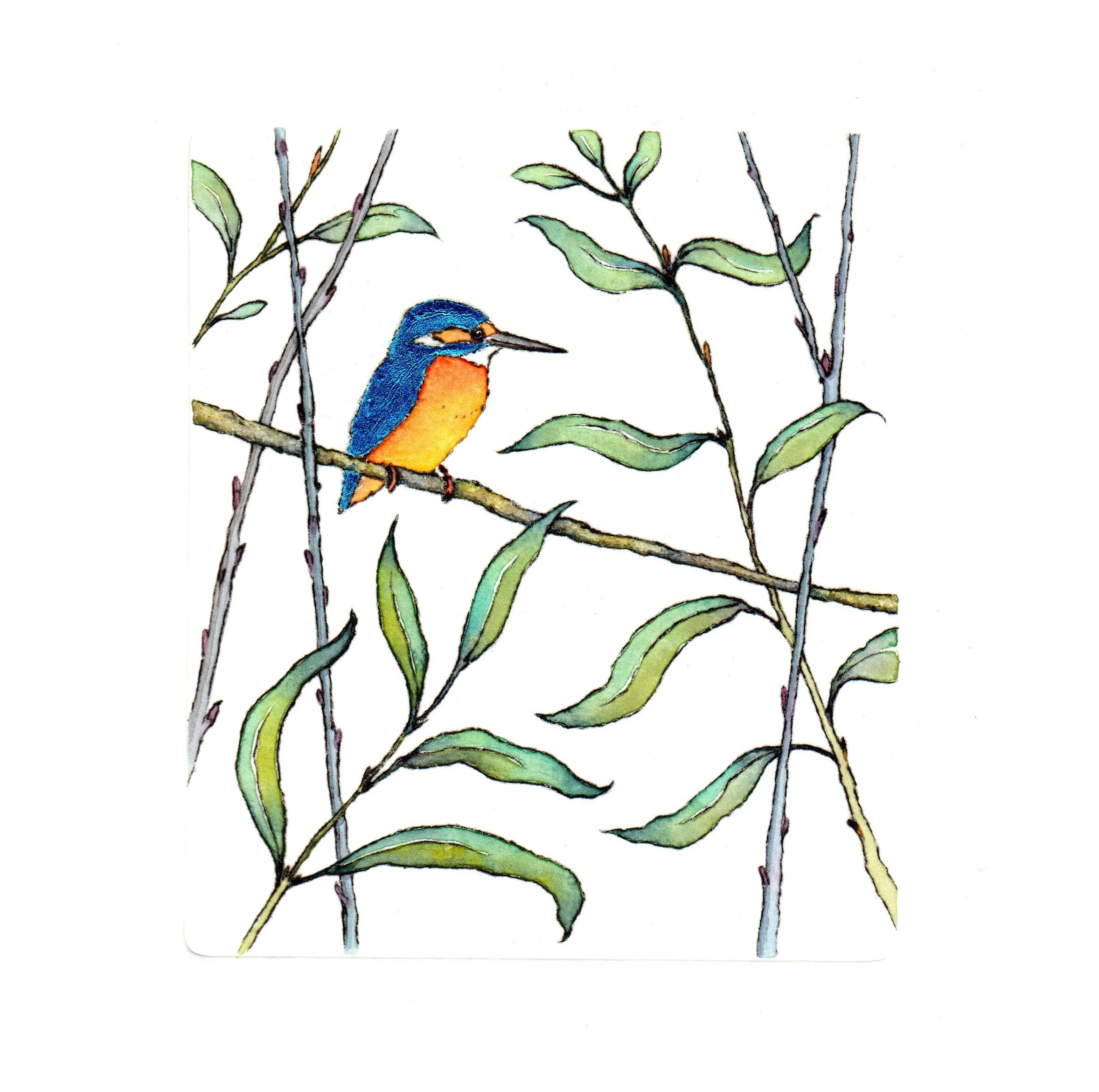 Kingfisher Perch sq.jpg