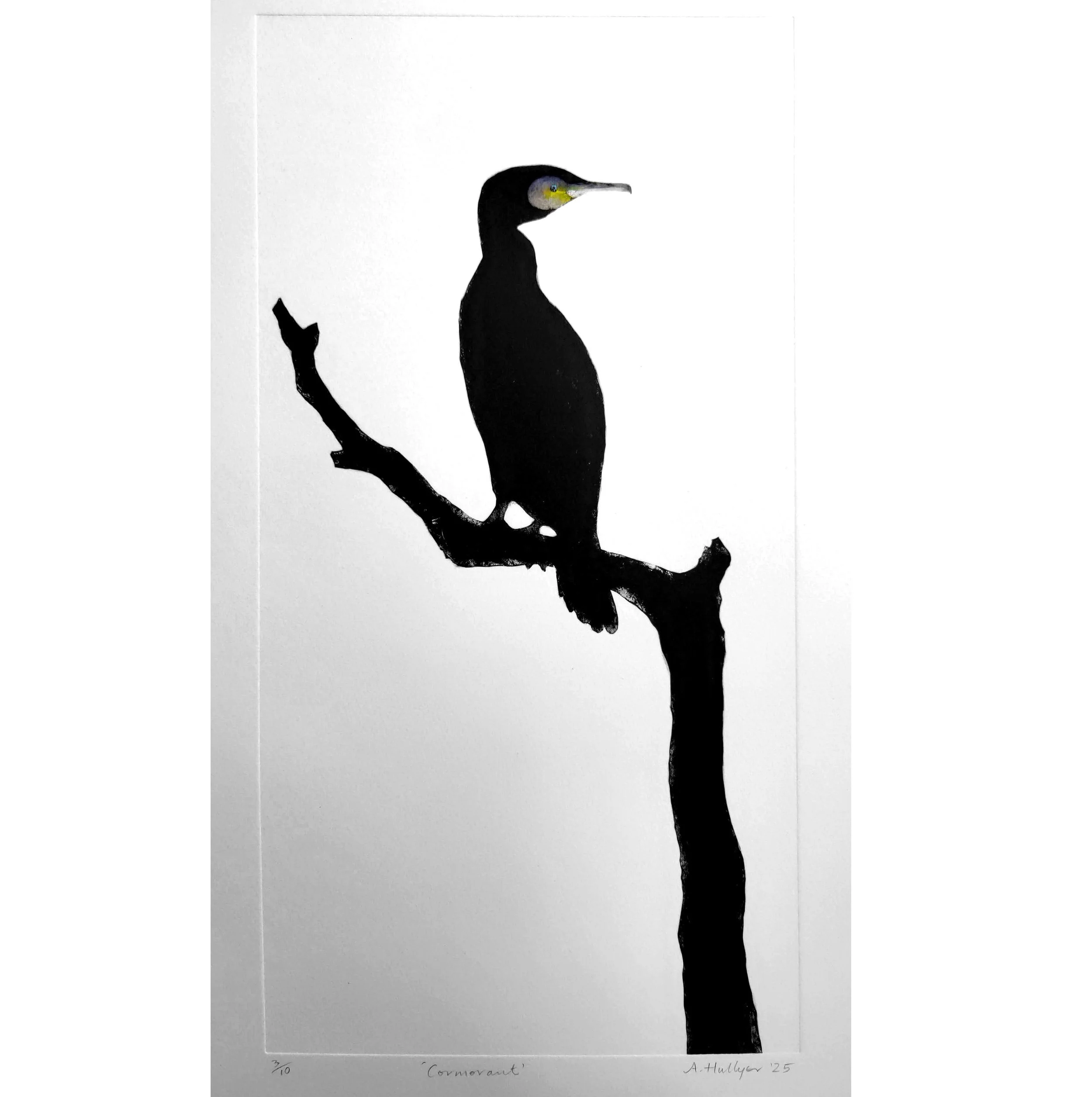 Alison Hullyer - Cormorant