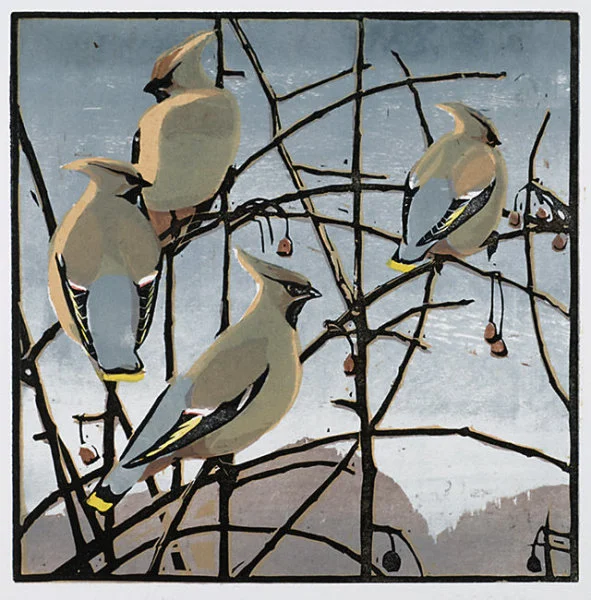 Waxwings