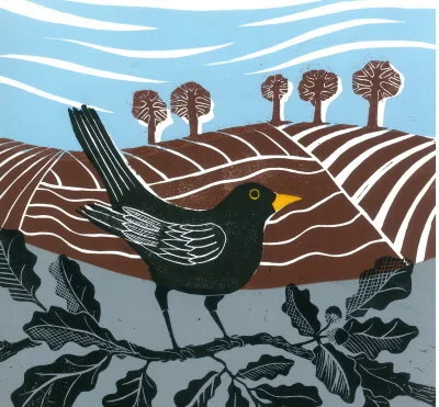 Blackbird in Oak Tree ed1
