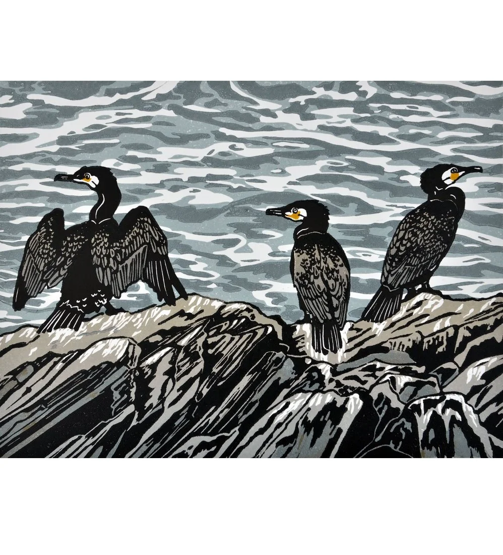 cormorants sq.jpg