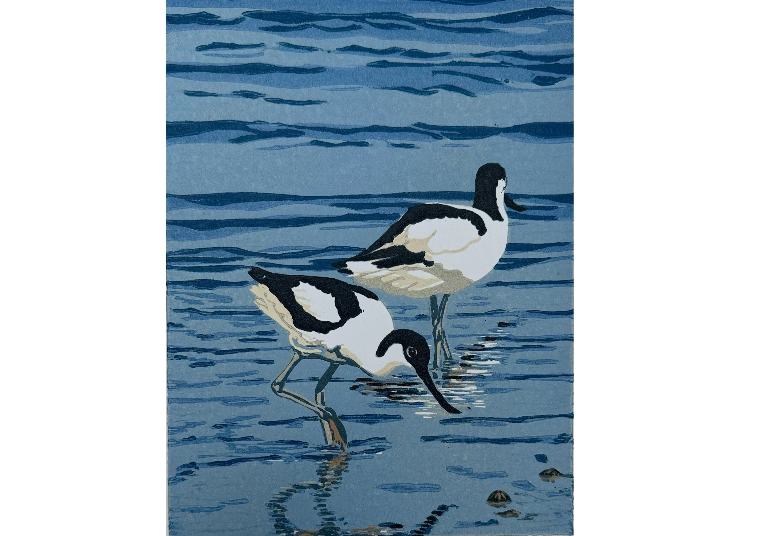 Nina Sage - Avocets