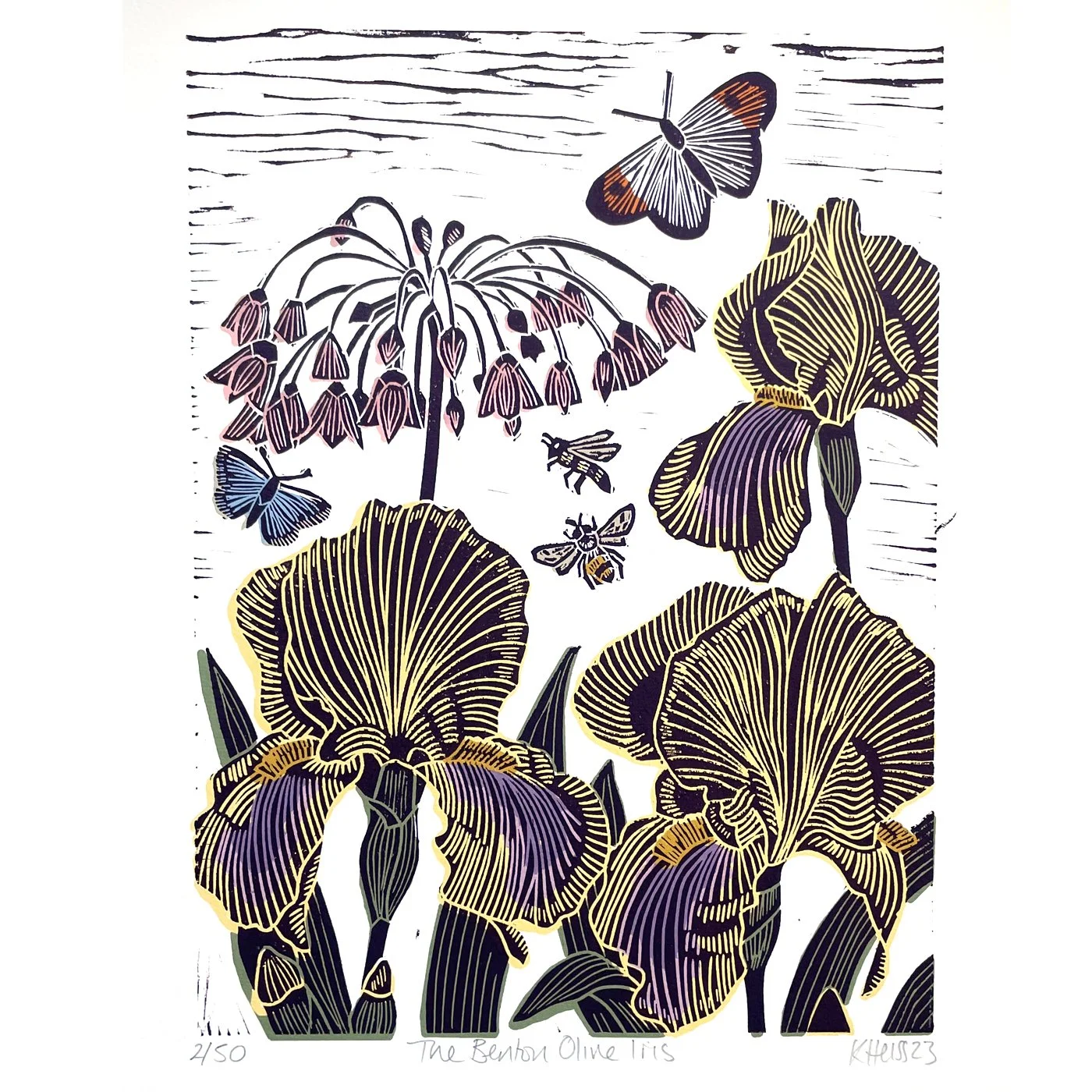 Kate Heiss - The Benton Olive Iris