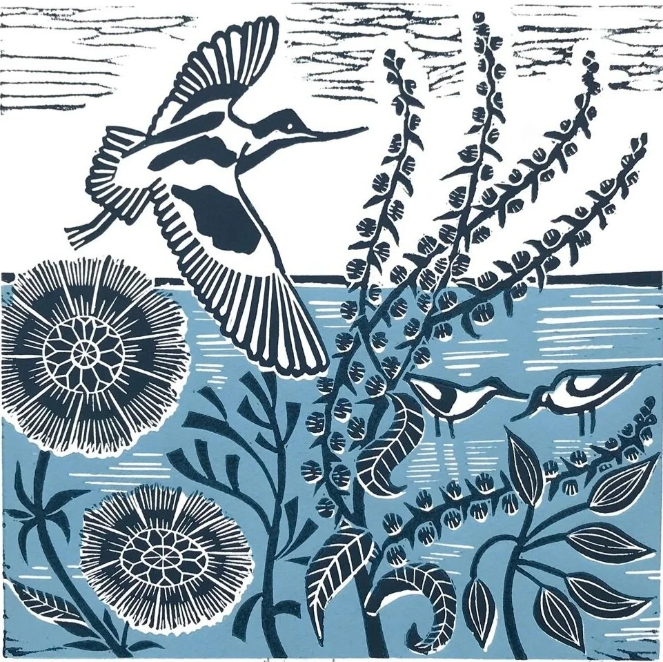 Avocet+sq.jpg