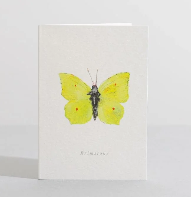 Sara Sayer - Brimstone