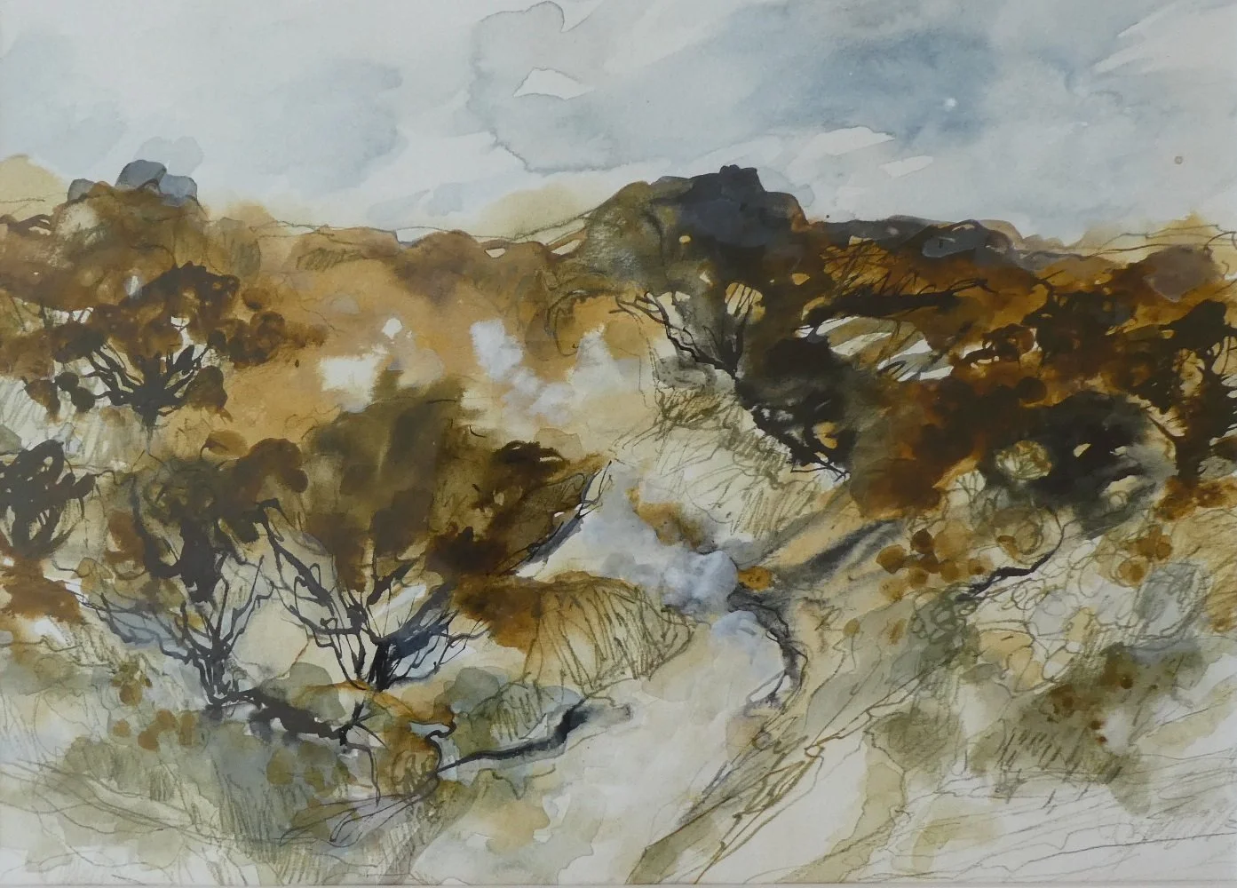 Through the Gorse.jpg