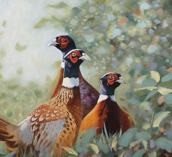 Laura Beardsell-Moore.jpg