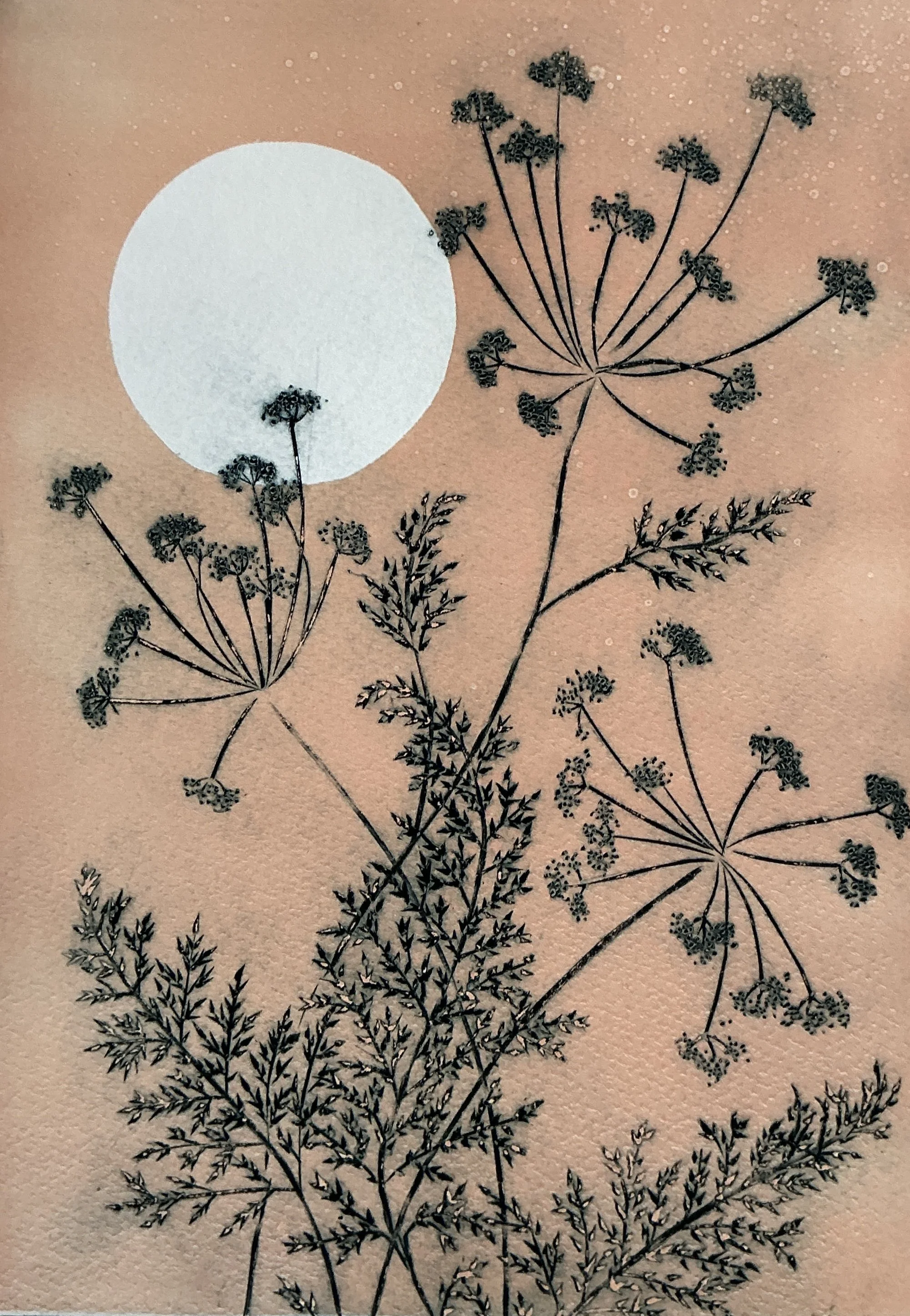 Sherry Rea - Queen Anne's Lace