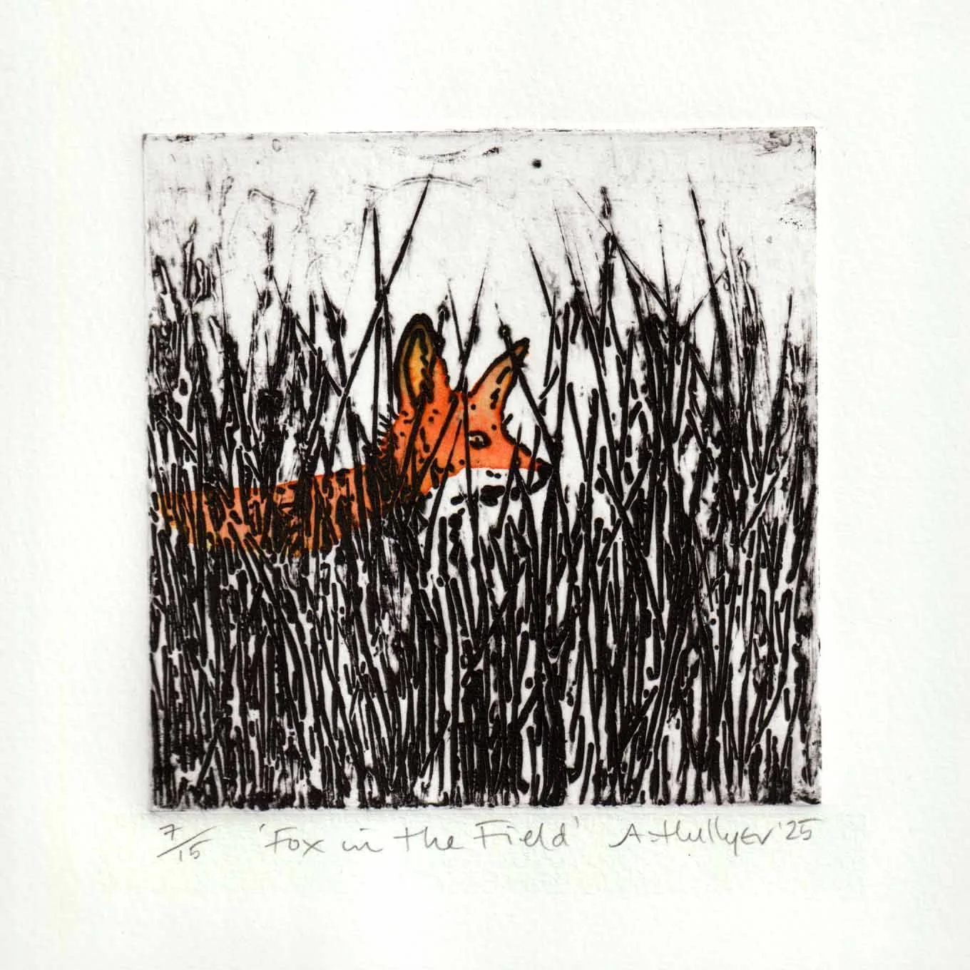 Alison Hullyer - Fox in the Field