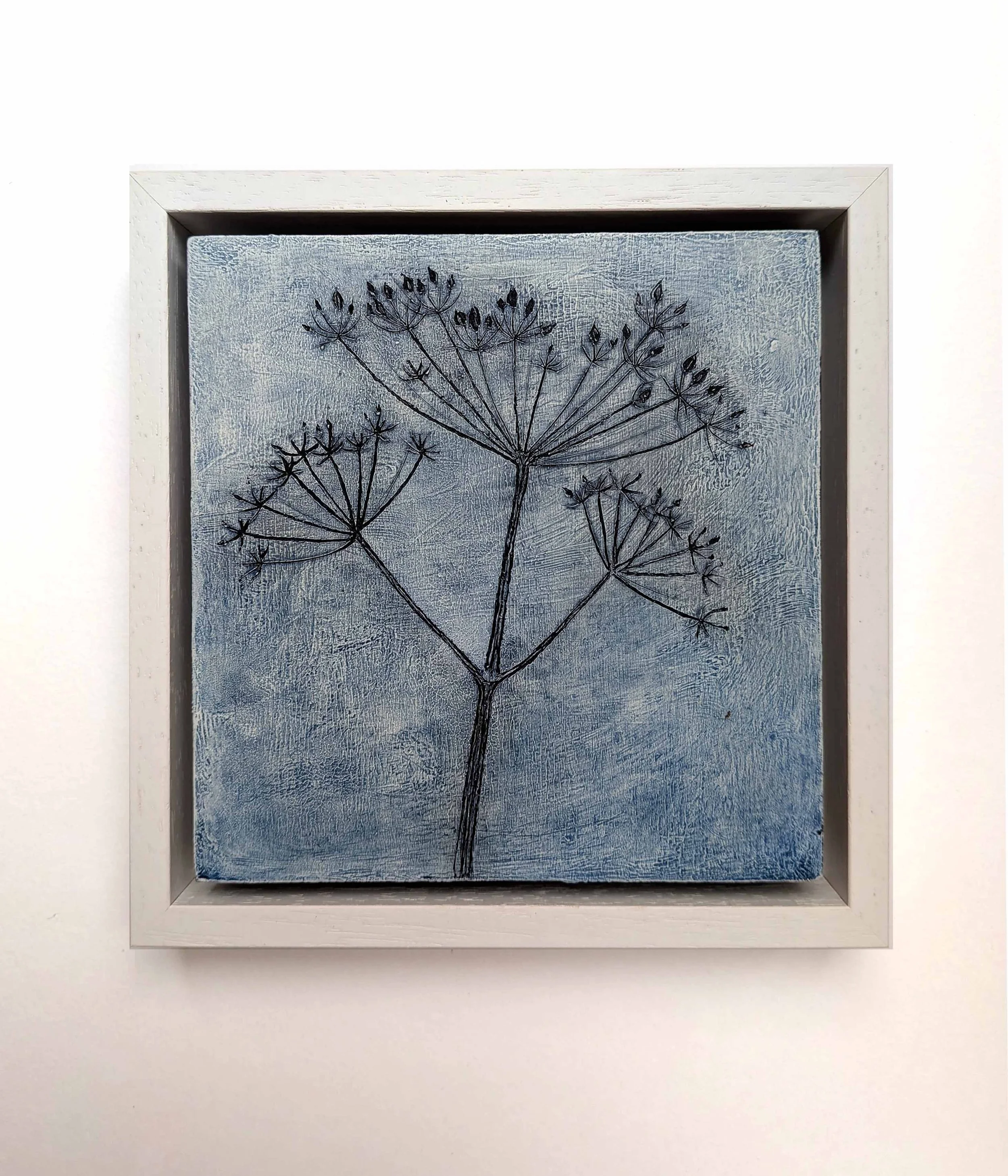Sgraffito Hogweed.jpg
