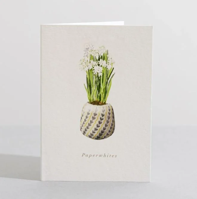 Paperwhites.JPG