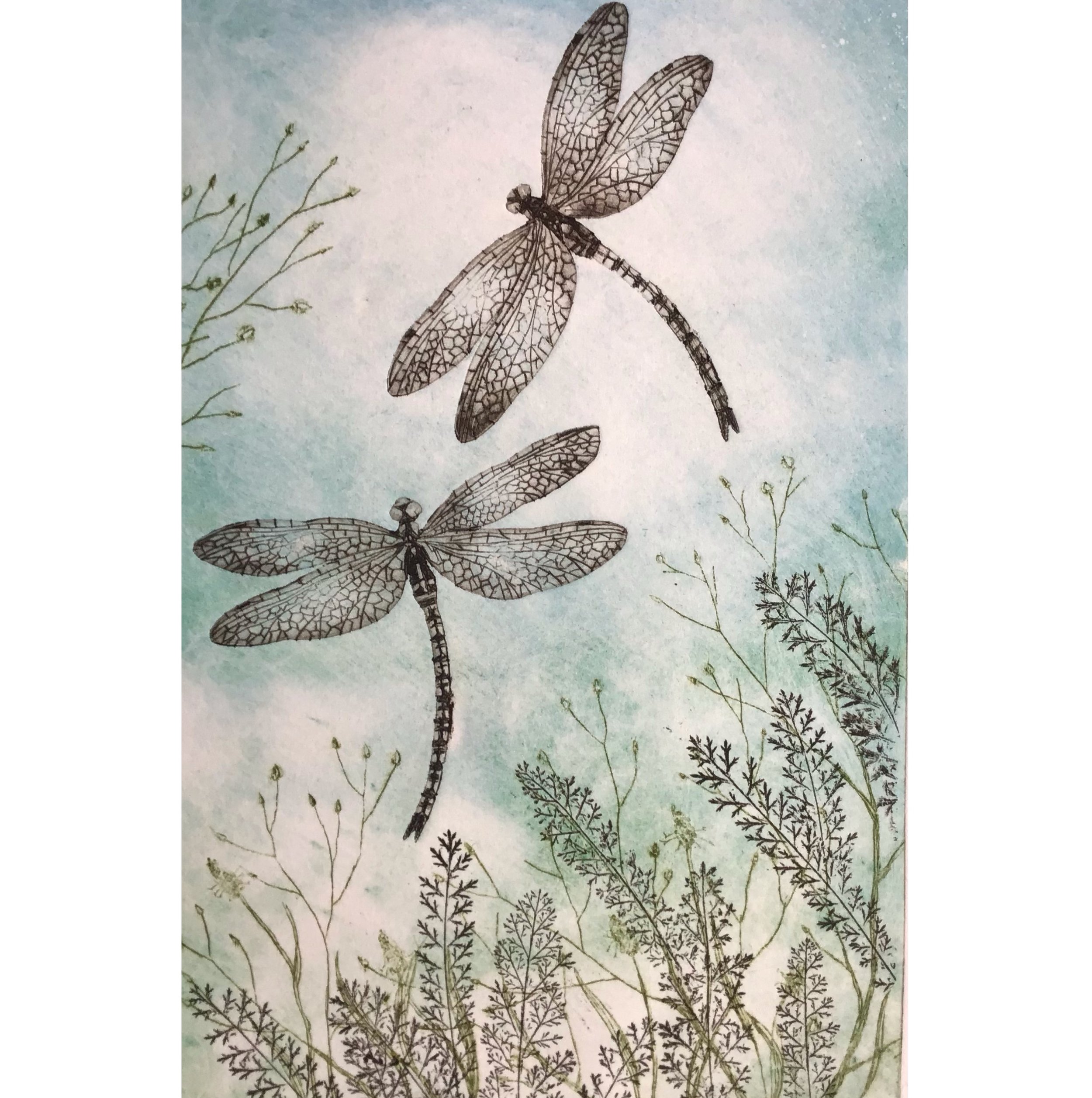 Dragonflies sq.jpg
