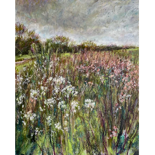 Campion and Queen Anne's Lace sq.png