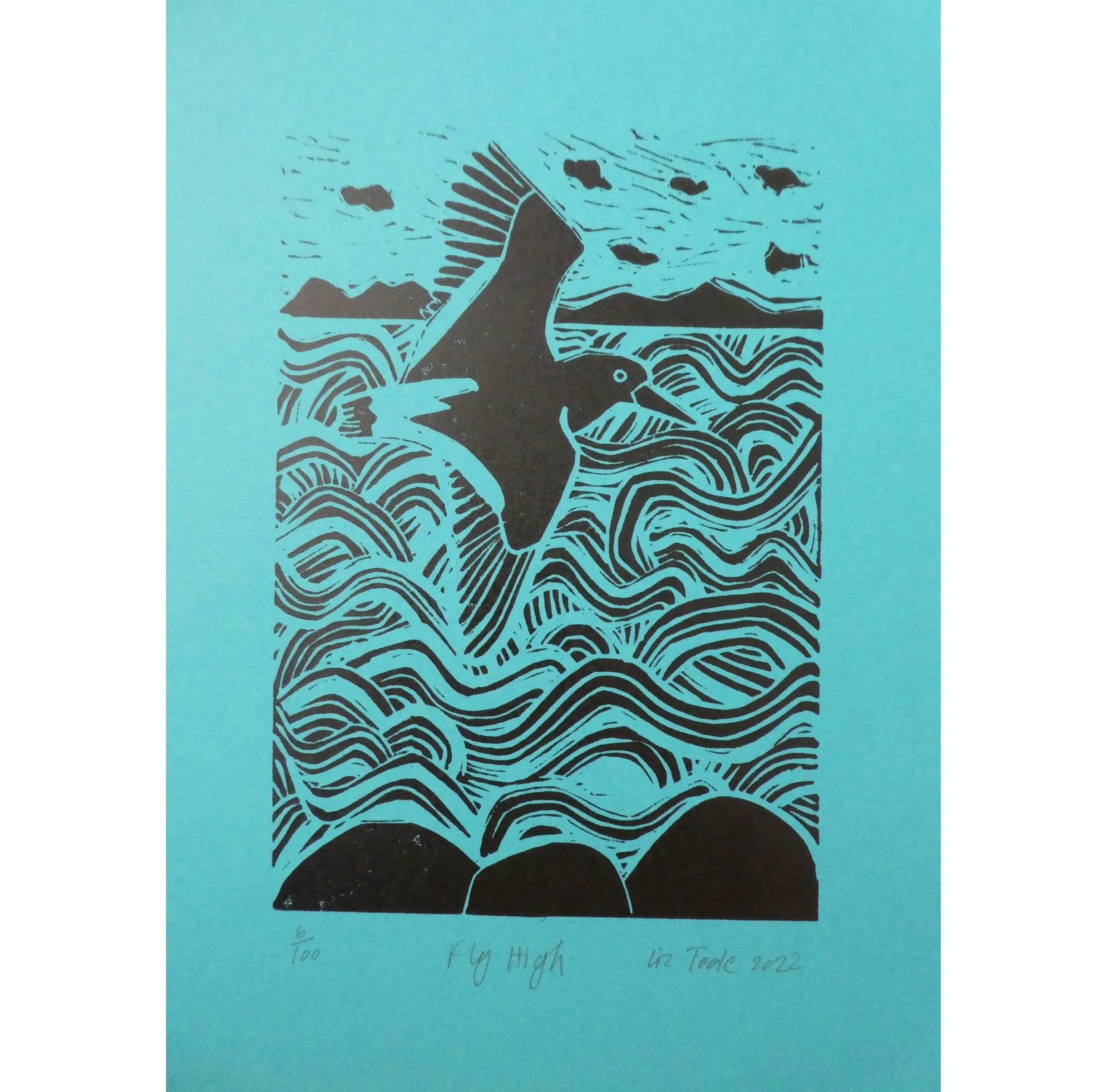 Fly+High+Blue+sq.jpg