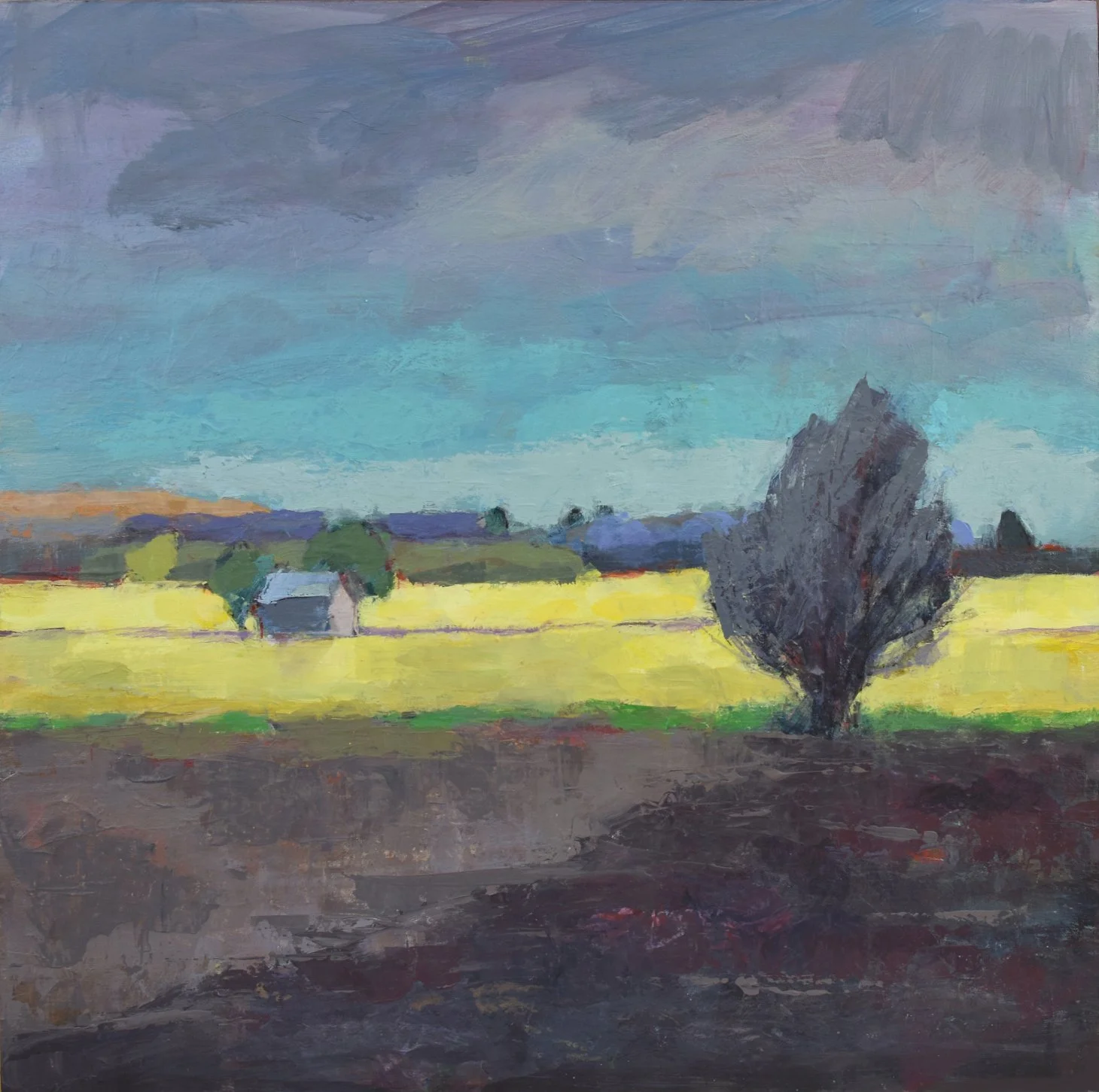 Katrina Wilkie - Yellow Field