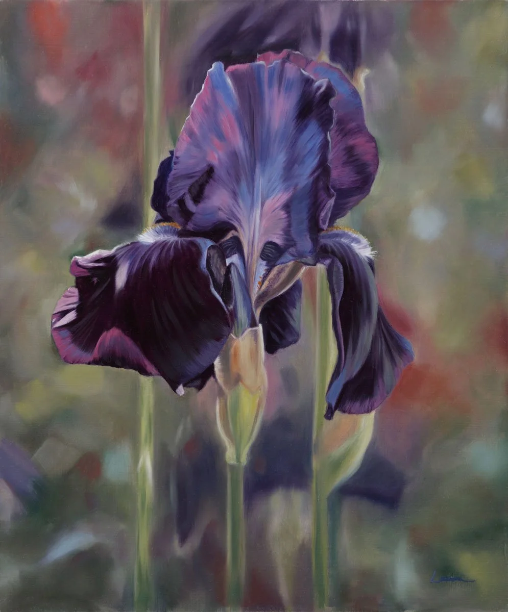 Laura Beardsell-Moore -  Black Swan