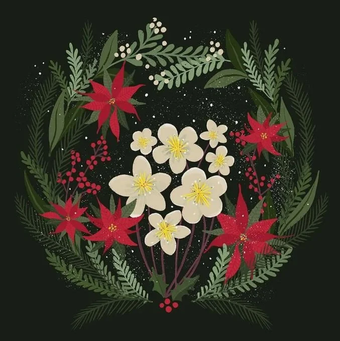 Anjana Misty - Winter Flowers