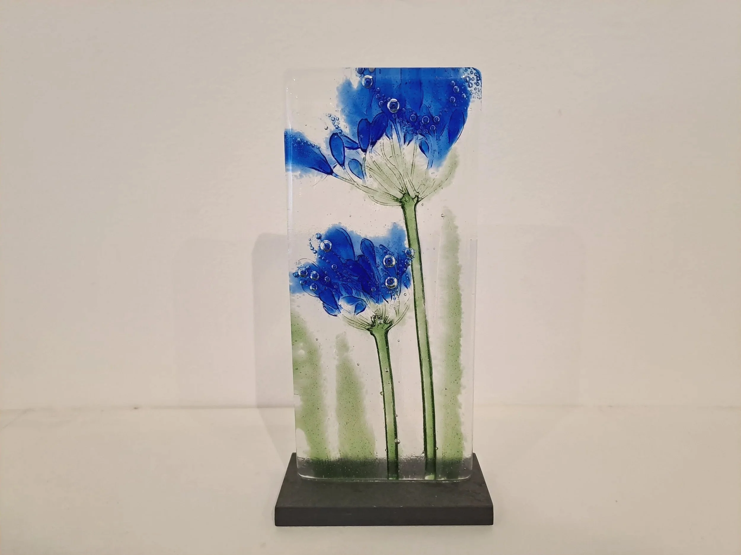 Joanna Lloyd - Agapanthus