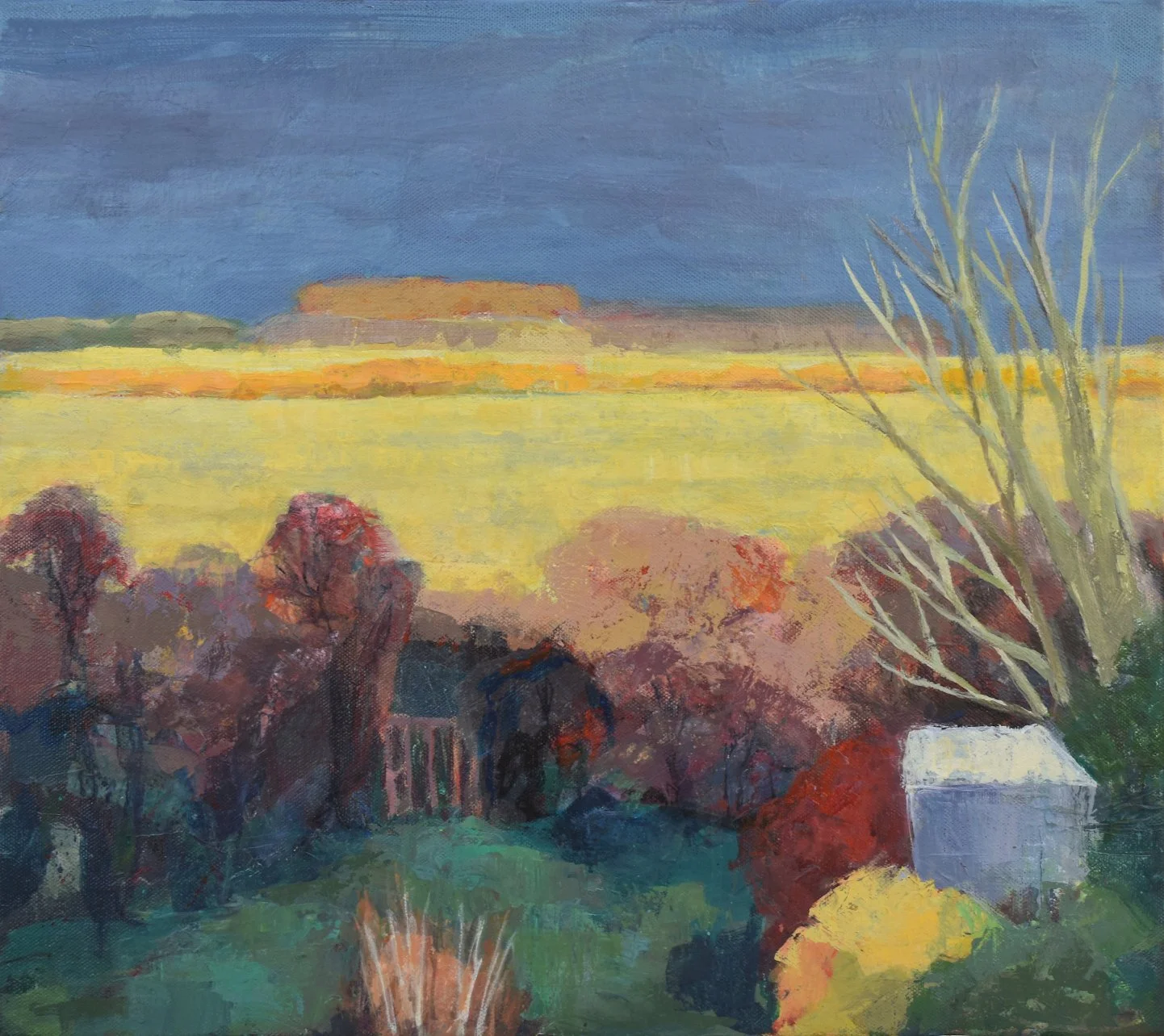 Katrina Wilkie - Fen Light
