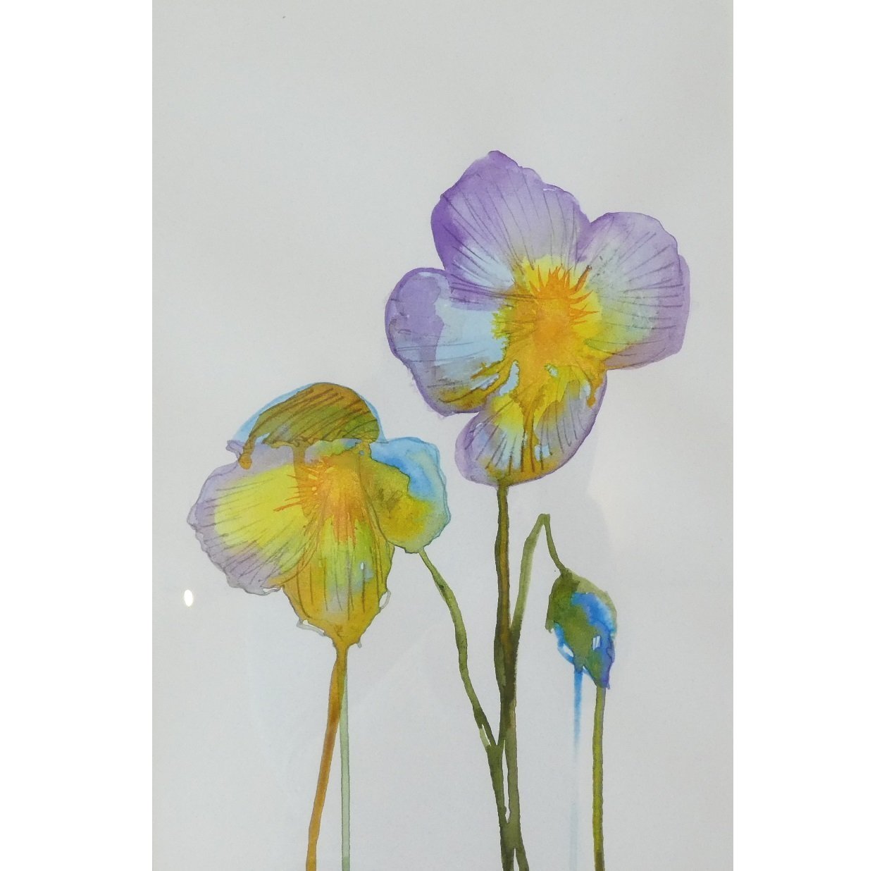 Violet+Wilting+sq.jpg
