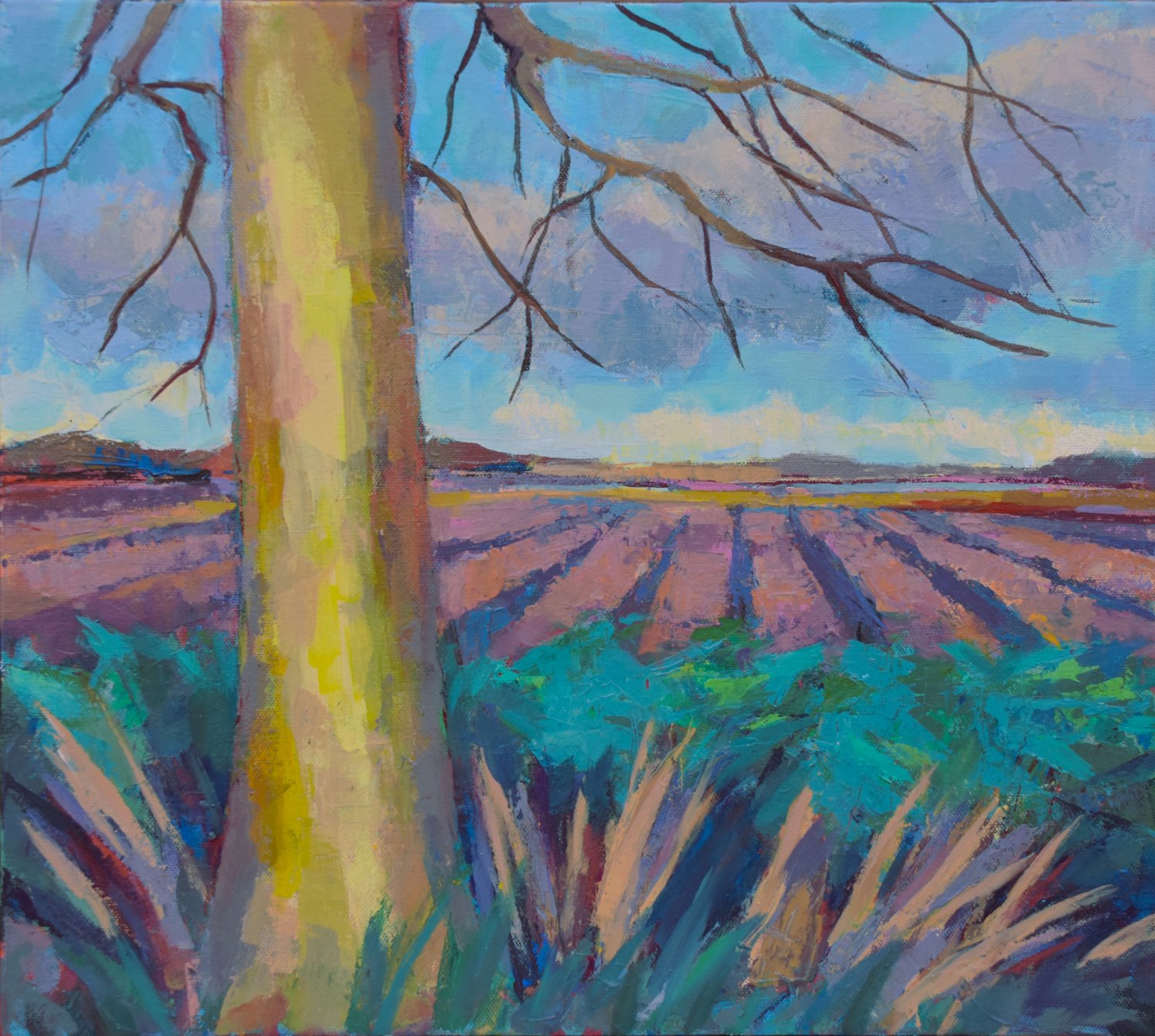 KatrinaWilkie_TreeAndFurrows.JPG