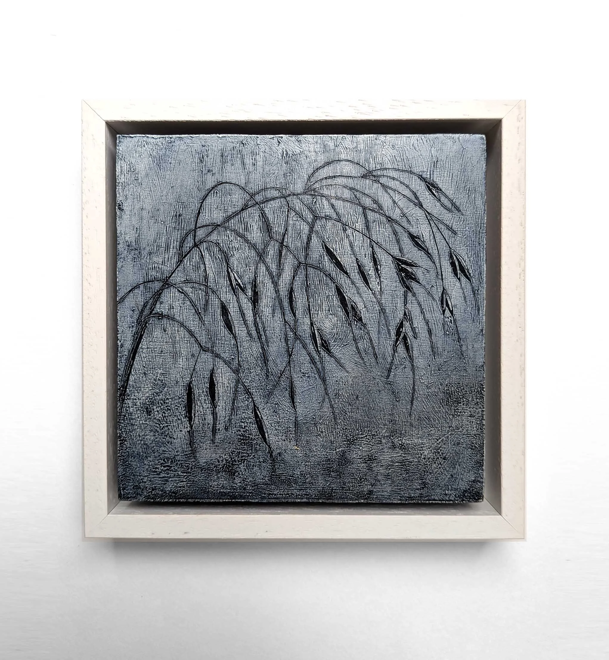 Sgraffito Stipa Gigantea.jpg