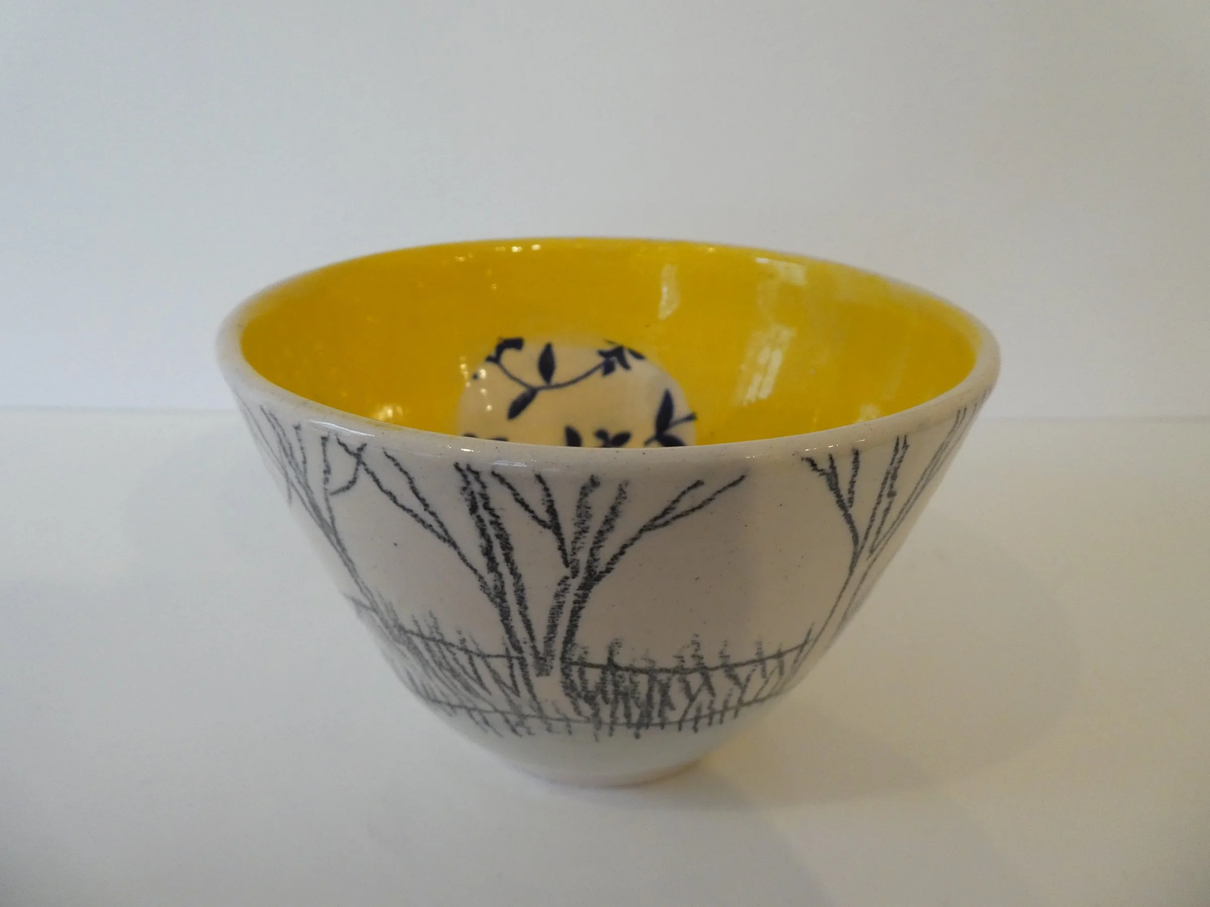 Sarah Cannell - Bowl 485