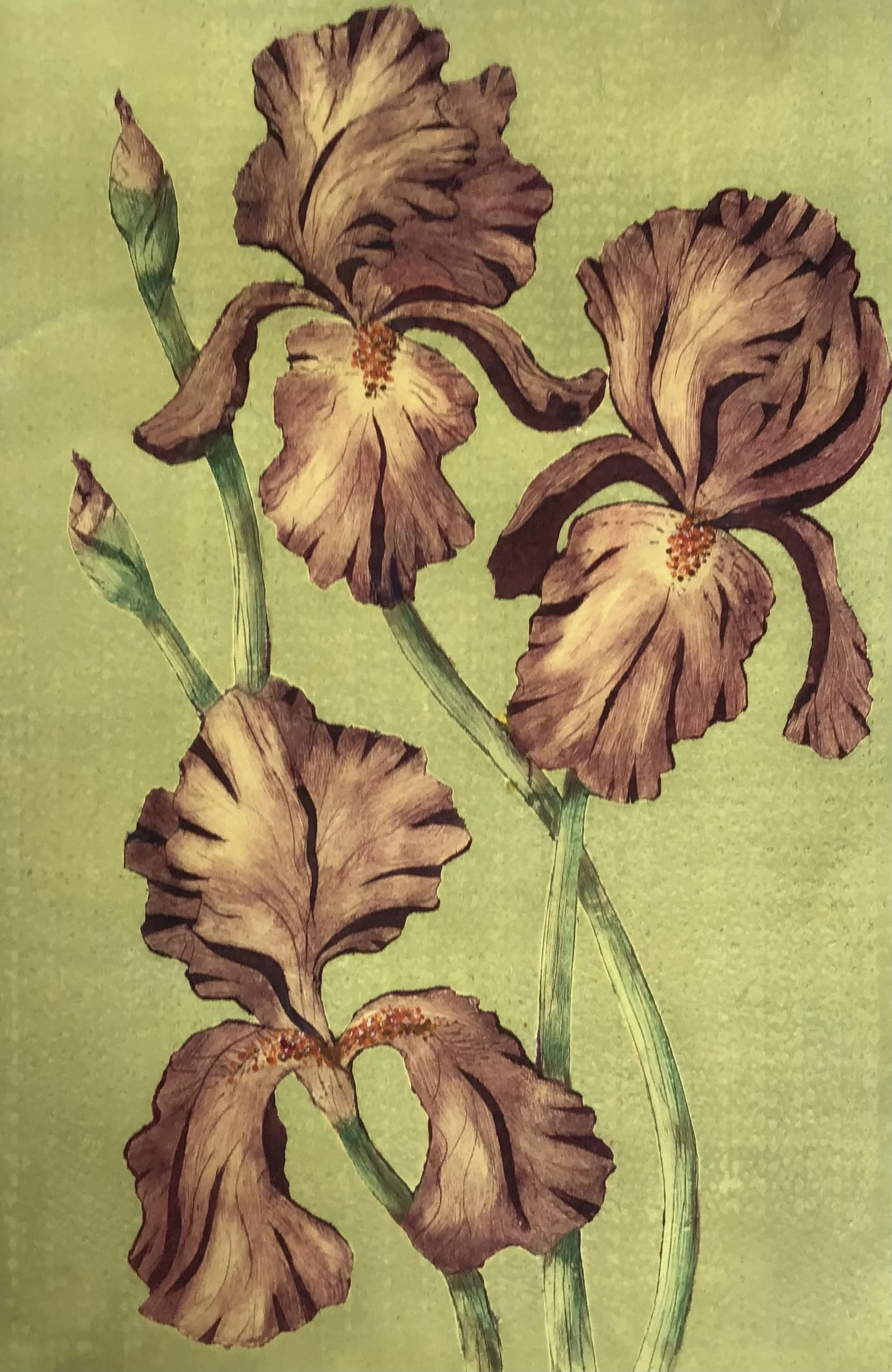 image2(2).jpeg