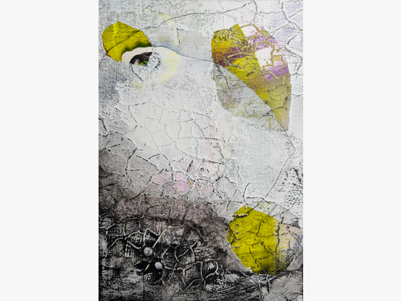 Victoria Johns - Aerial View IV