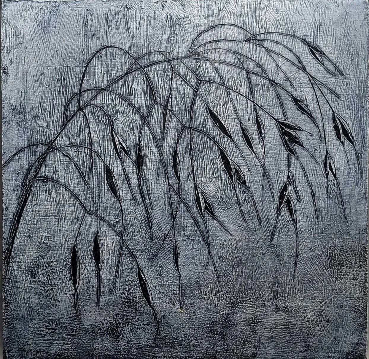 Sgraffito+Stipa+Gigantea.jpg