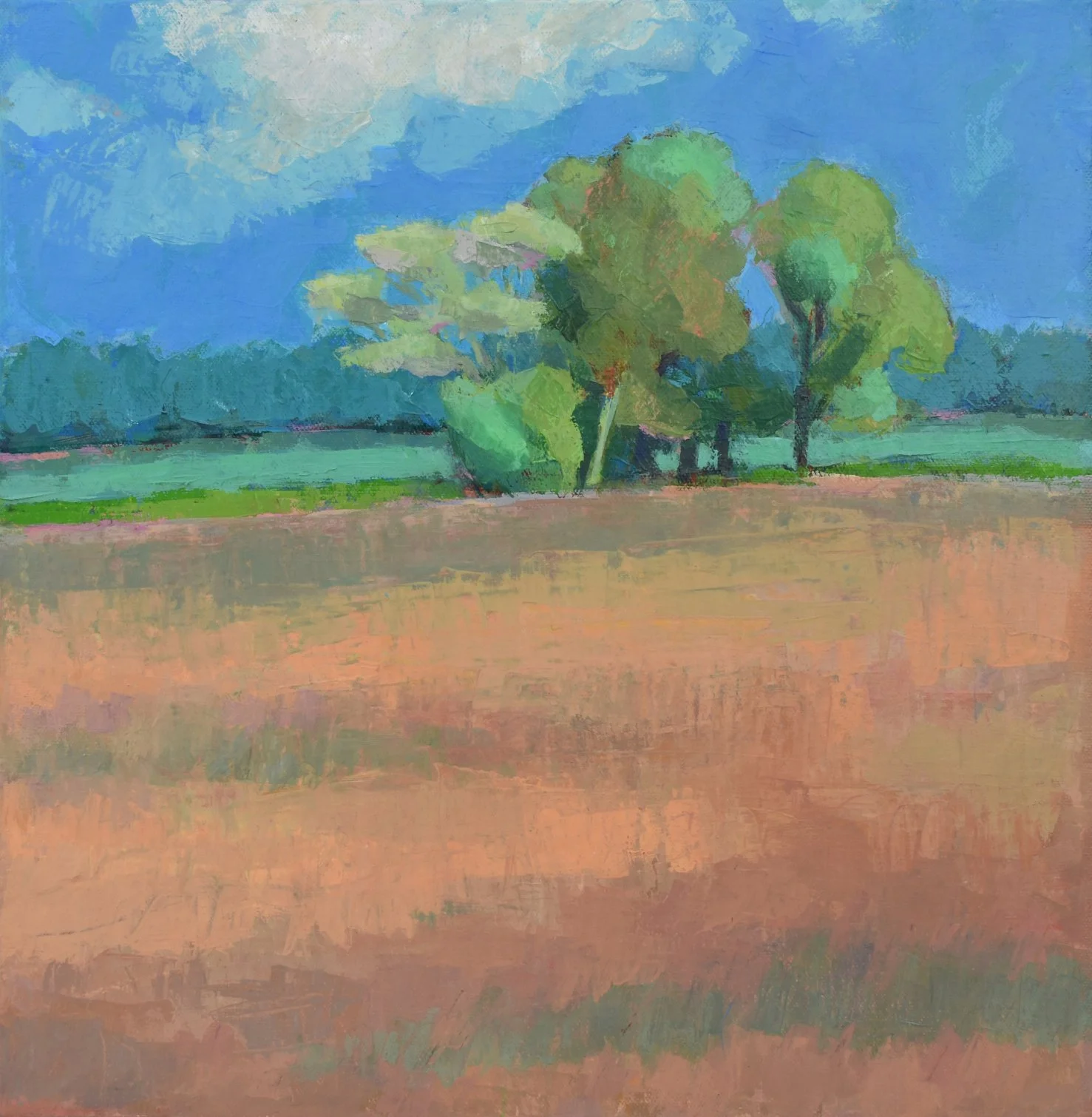 Katrina Wilkie - Distant Copse