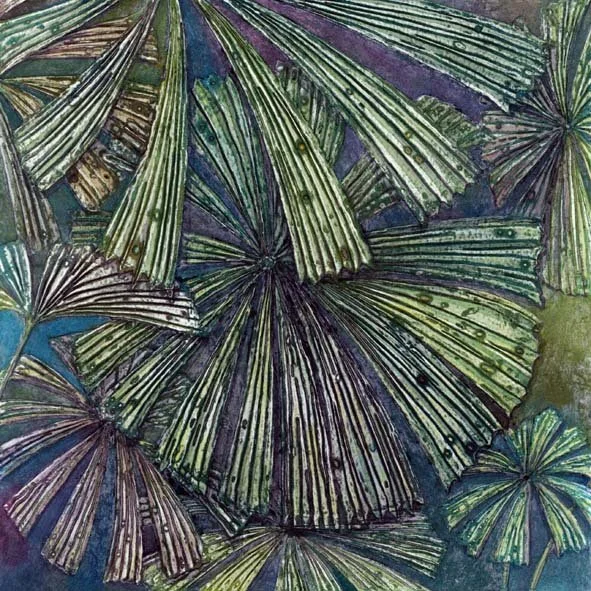 Alison Hullyer - Daintree Rainforest II