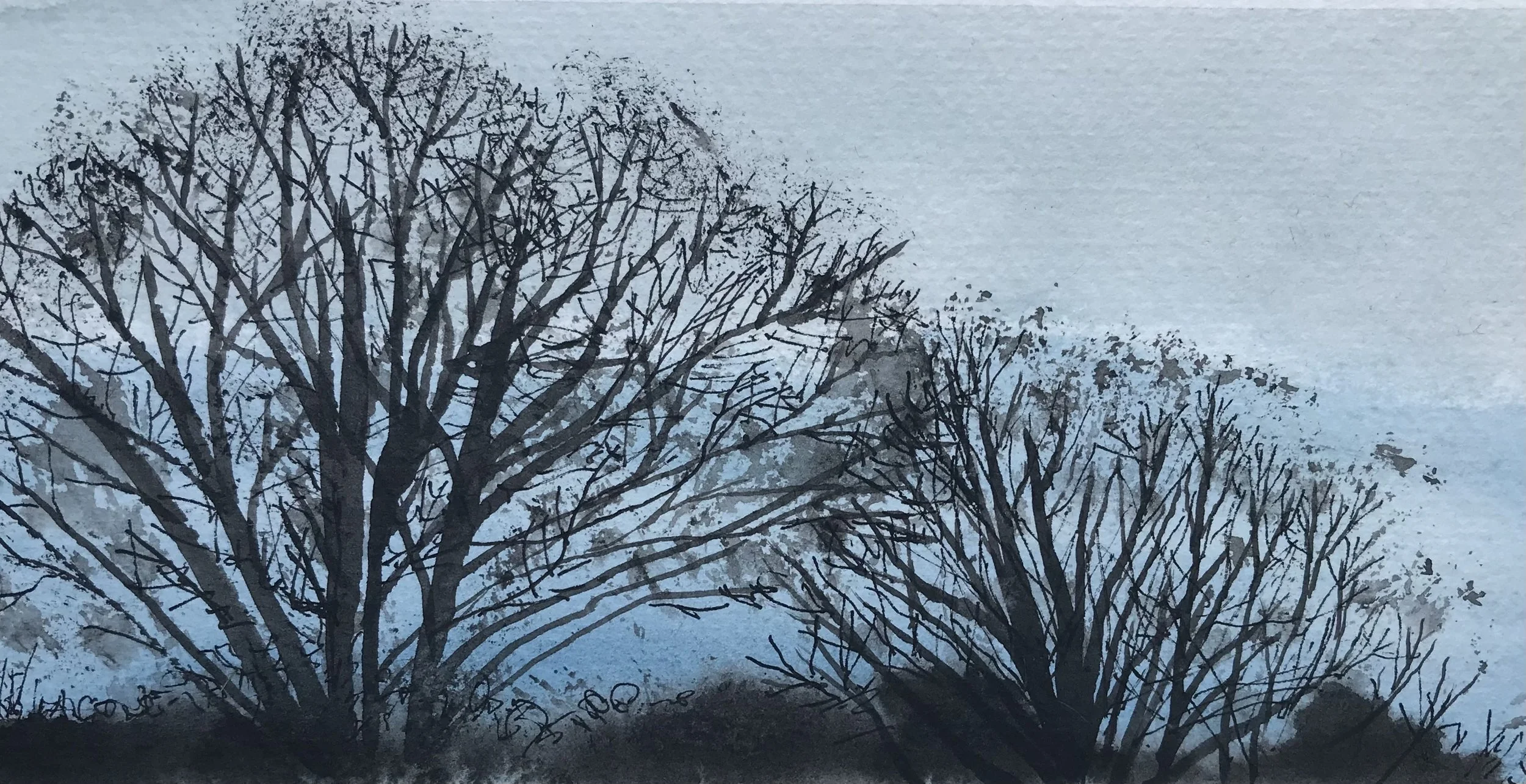 Lizzie Madder - Early Morning III