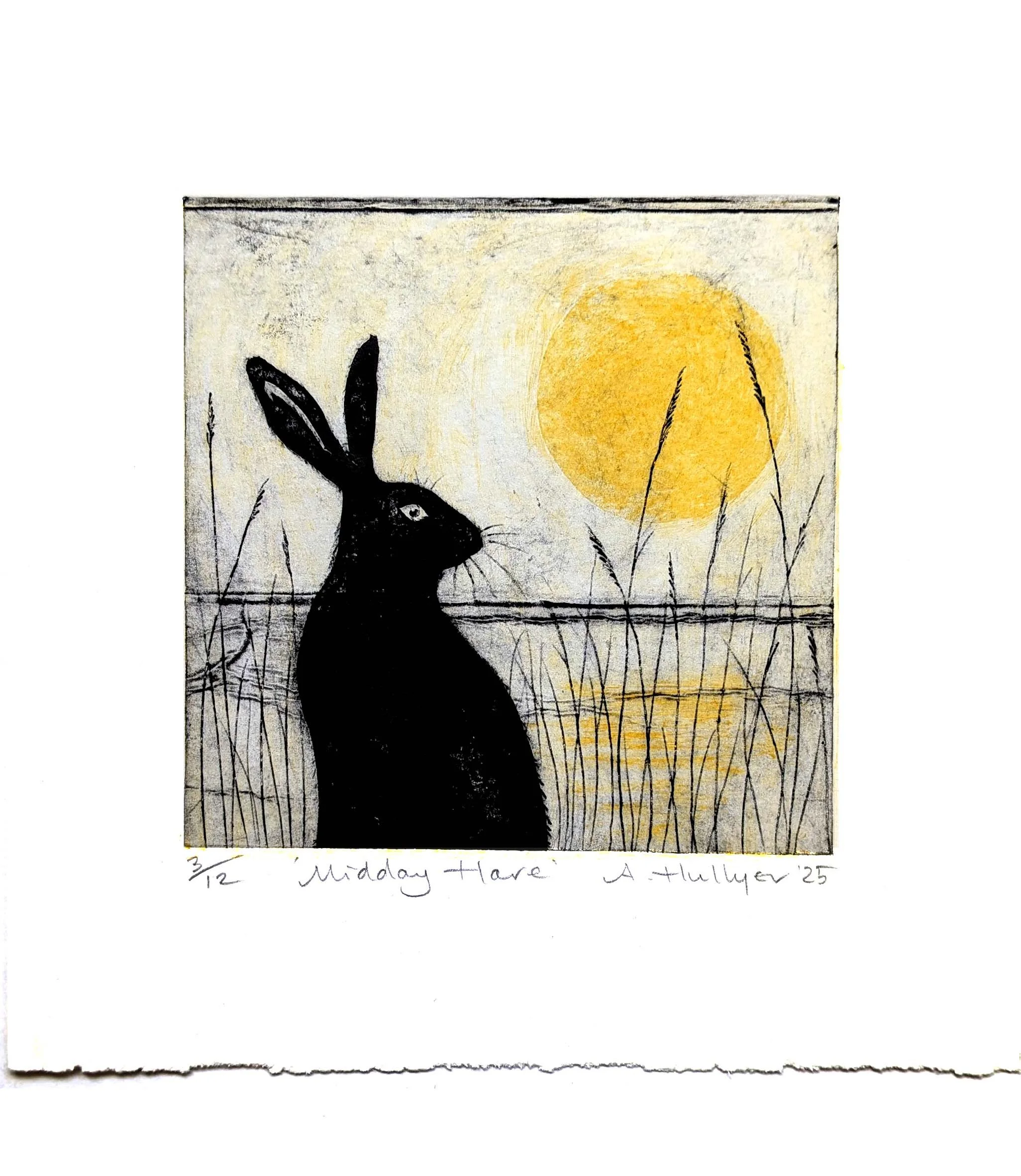 Midday Hare.jpg