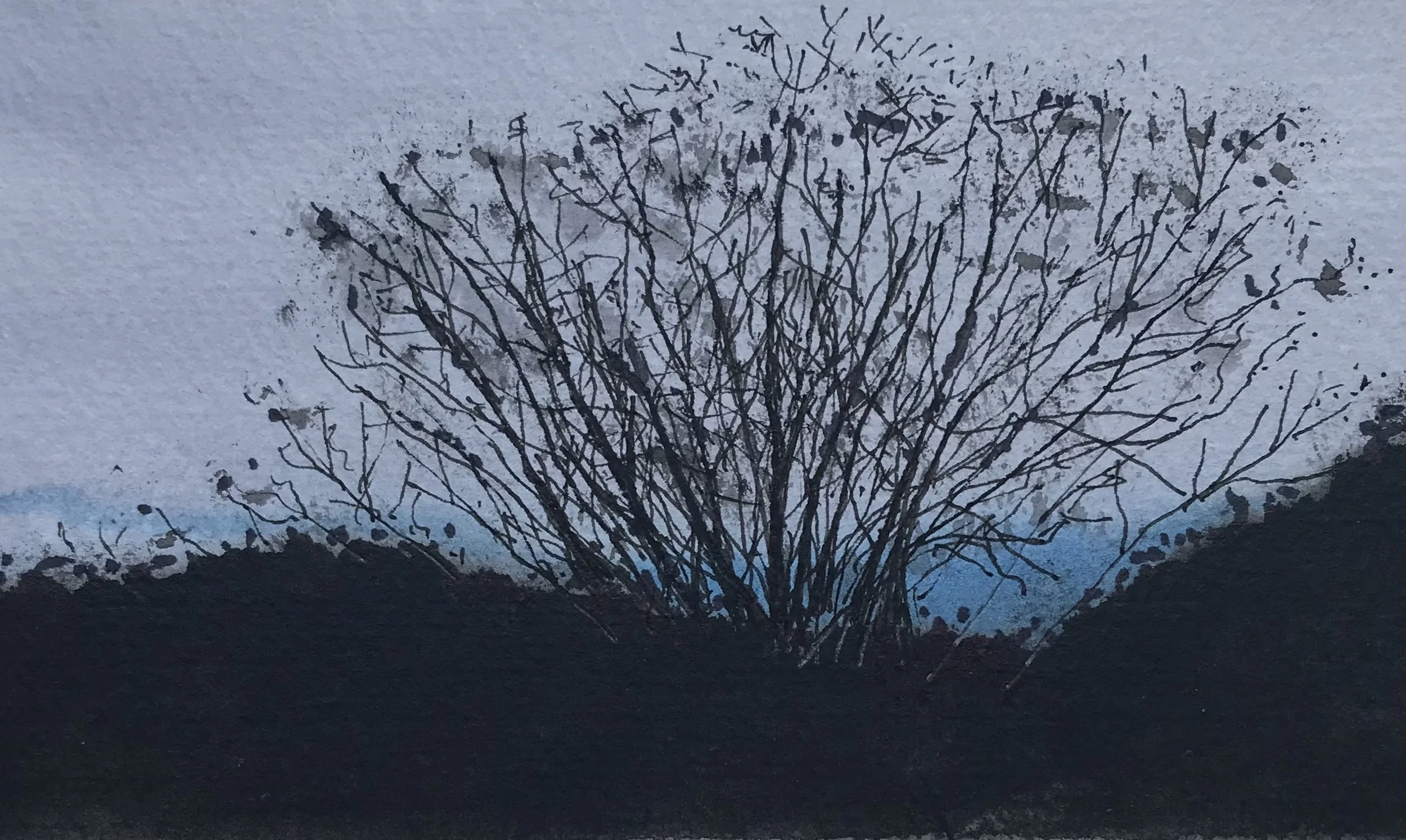 Lizzie Madder - Early Morning I