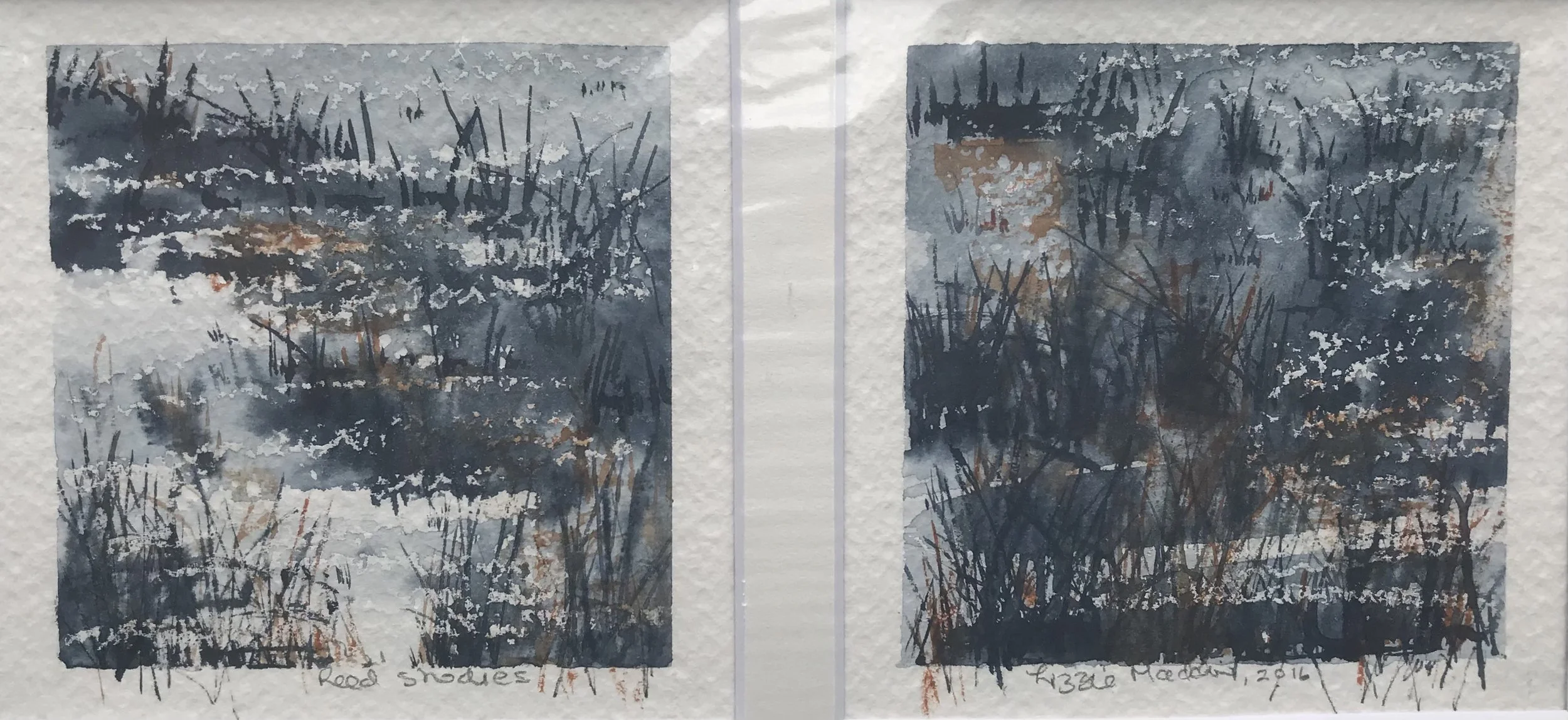 Lizzie Madder - Reed Studies
