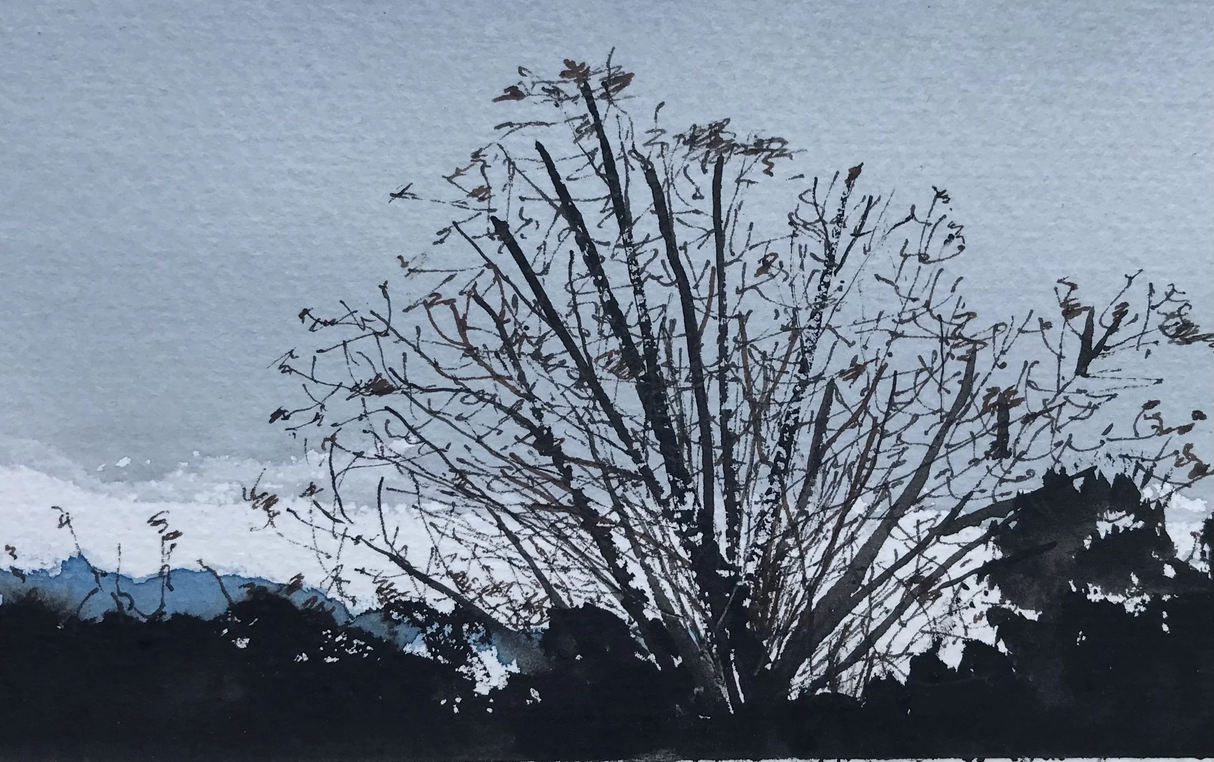 Lizzie Madder - Early Morning IV