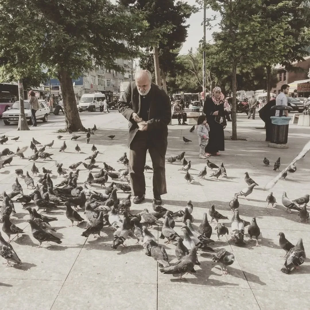 🕊️
#2016 #istanbul #streetphotography