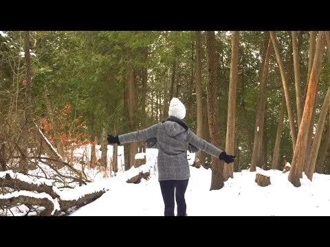 A WINTER FOREST WALK - VLOG 5 (full version) (Copy)