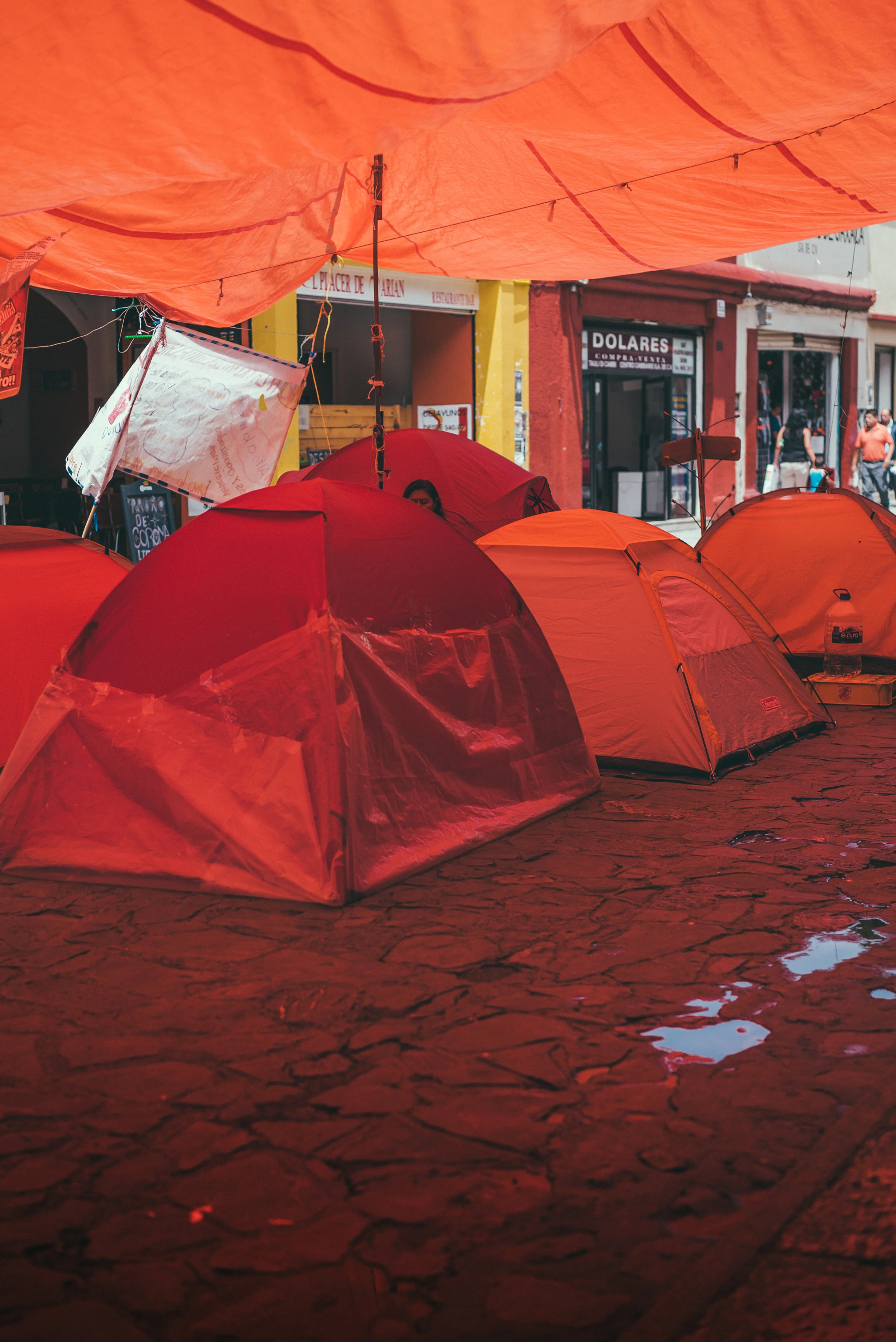 DSC04035-2.jpg