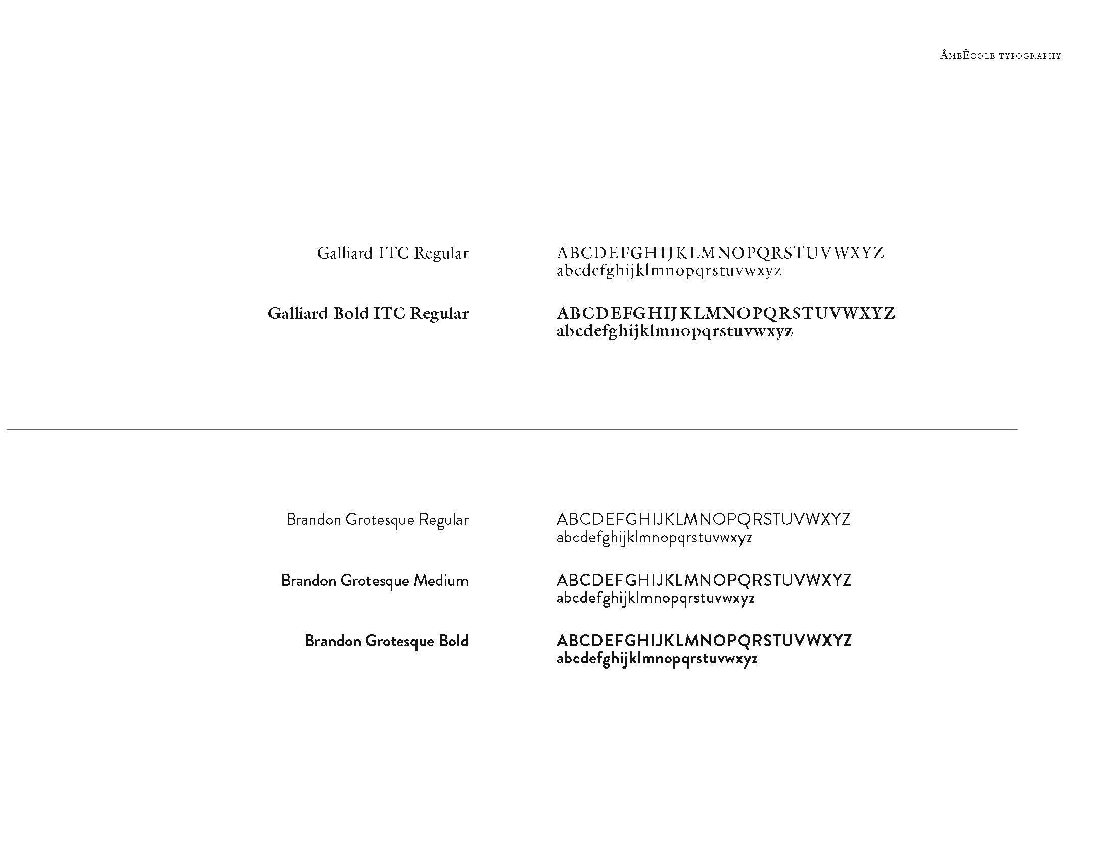 AmeEcole_Brief_V5_Page_09.jpg