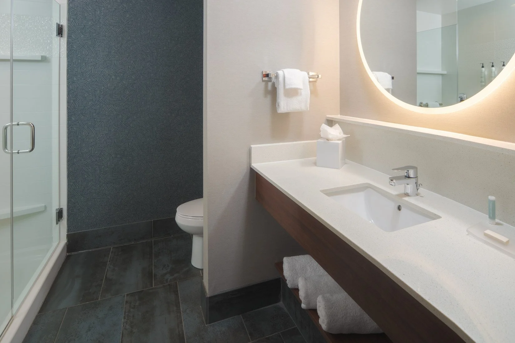  Original Filename: 1714_GTLFG_Fairfield_roomshower.jpg File Name: GTLFG-Guest-Bathroom-Shower.jpg Caption: Guest bathroom with walk-in shower Marketing Caption: Modern guest bathroom with walk-in shower at Fairfield Inn &amp; Suites Gatlinburg Downt