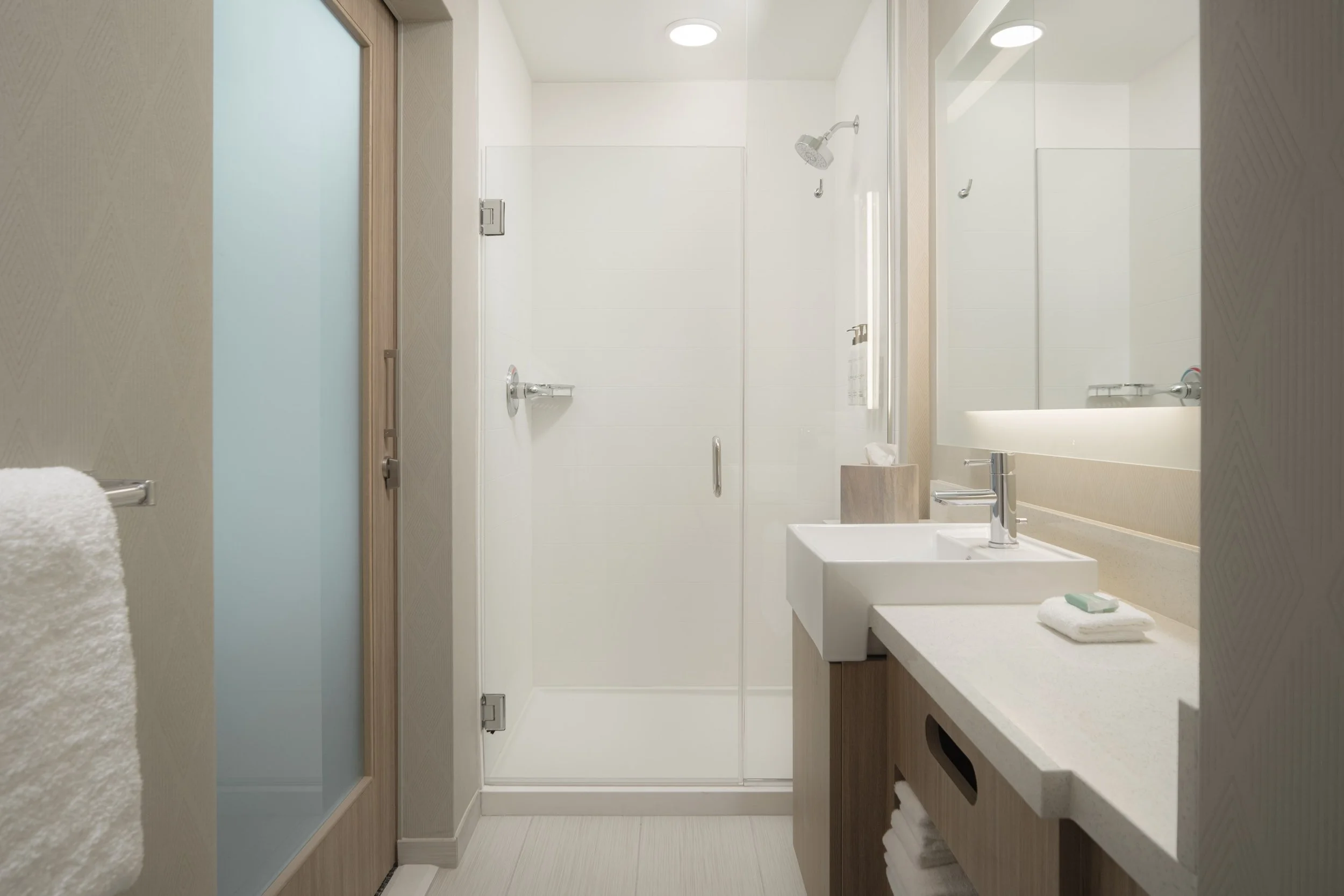 SHS_TPADS_17_roomshower_Web Resolution.jpg