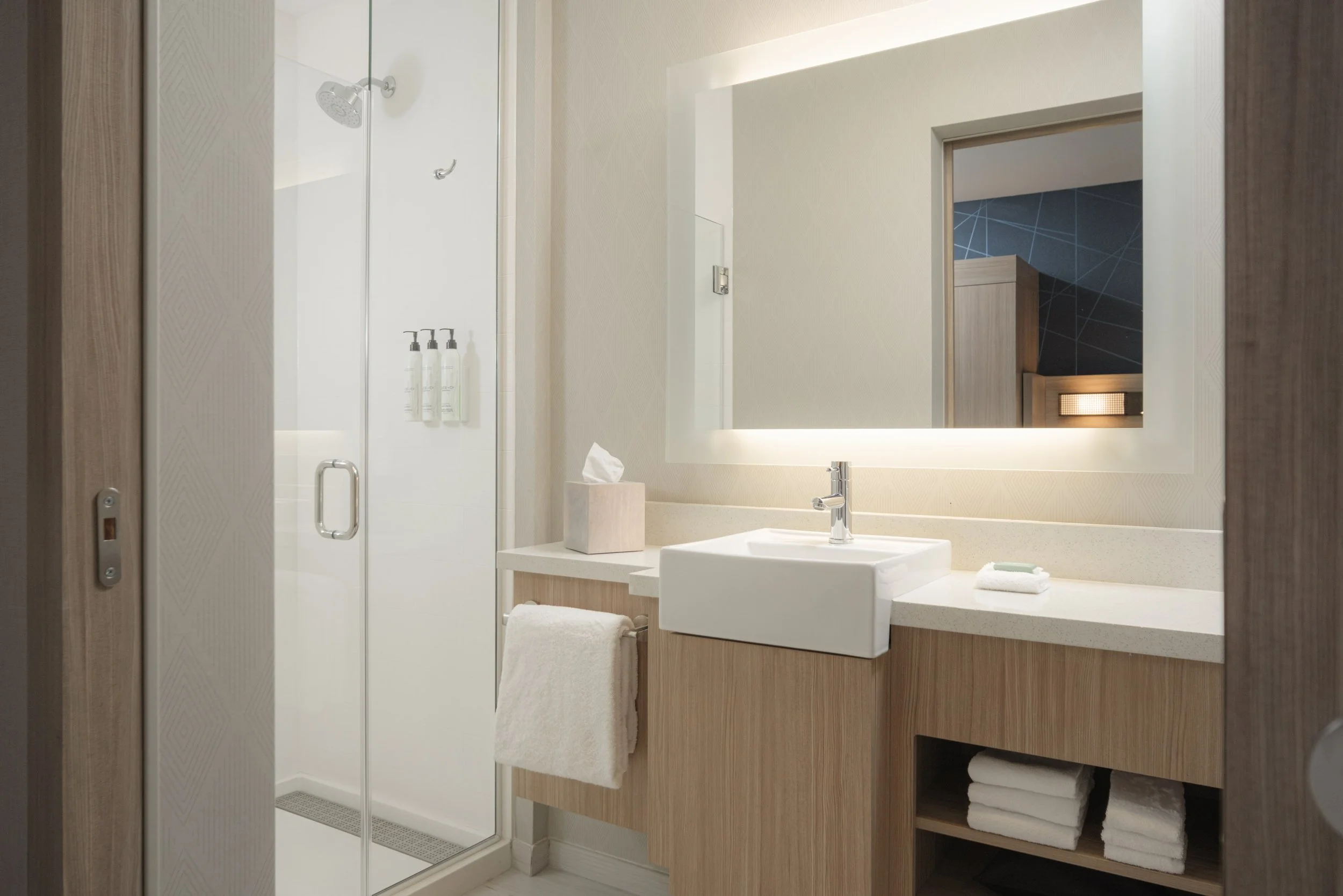 SHS_TPADS_20_roomshower_Web Resolution.jpg