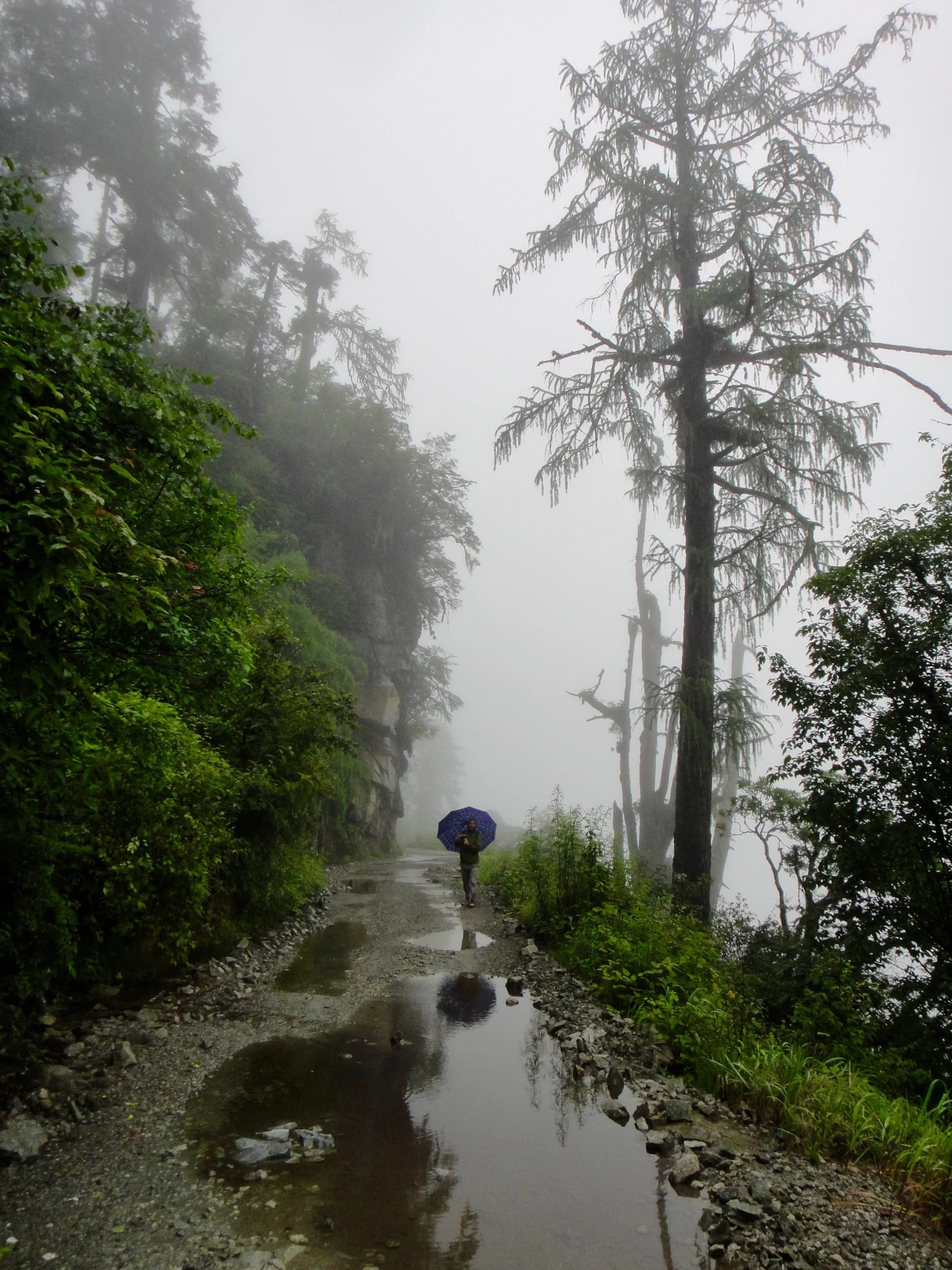 Lots of rain and fog, but made for nice photos