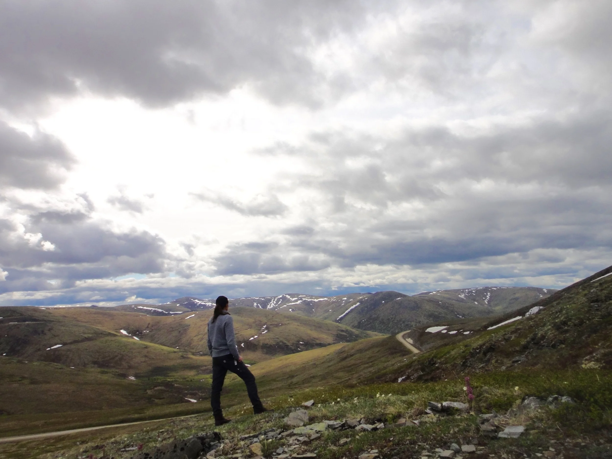 Looking out at the Steese Highway
