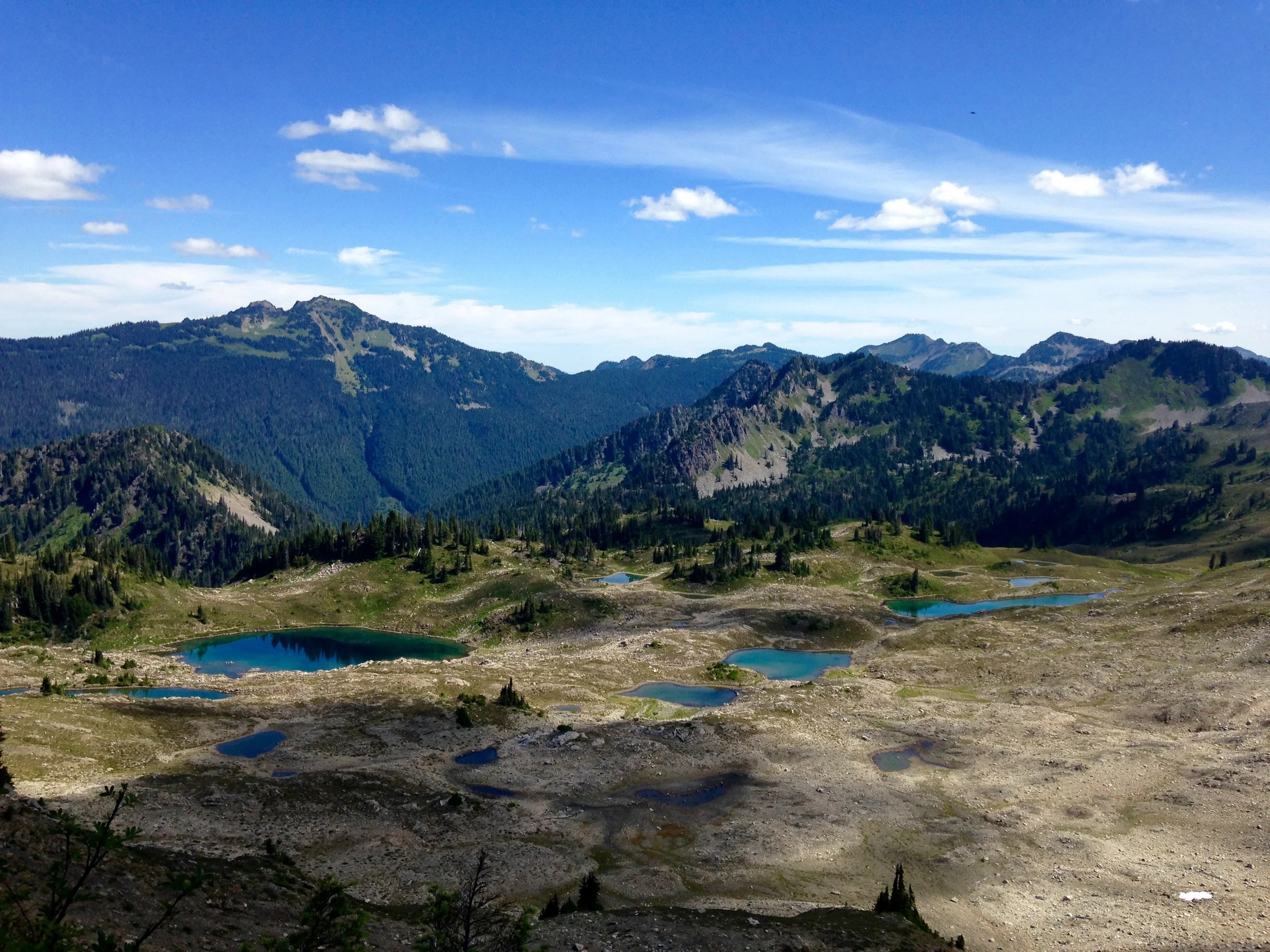 View from Bogachiel Peak in the Olympic National Park